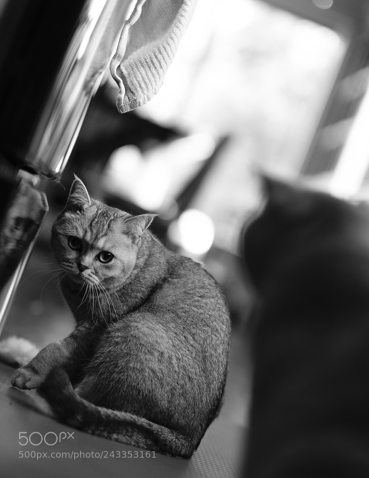 Fujifilm X-T2 sample photo. Mine! photography