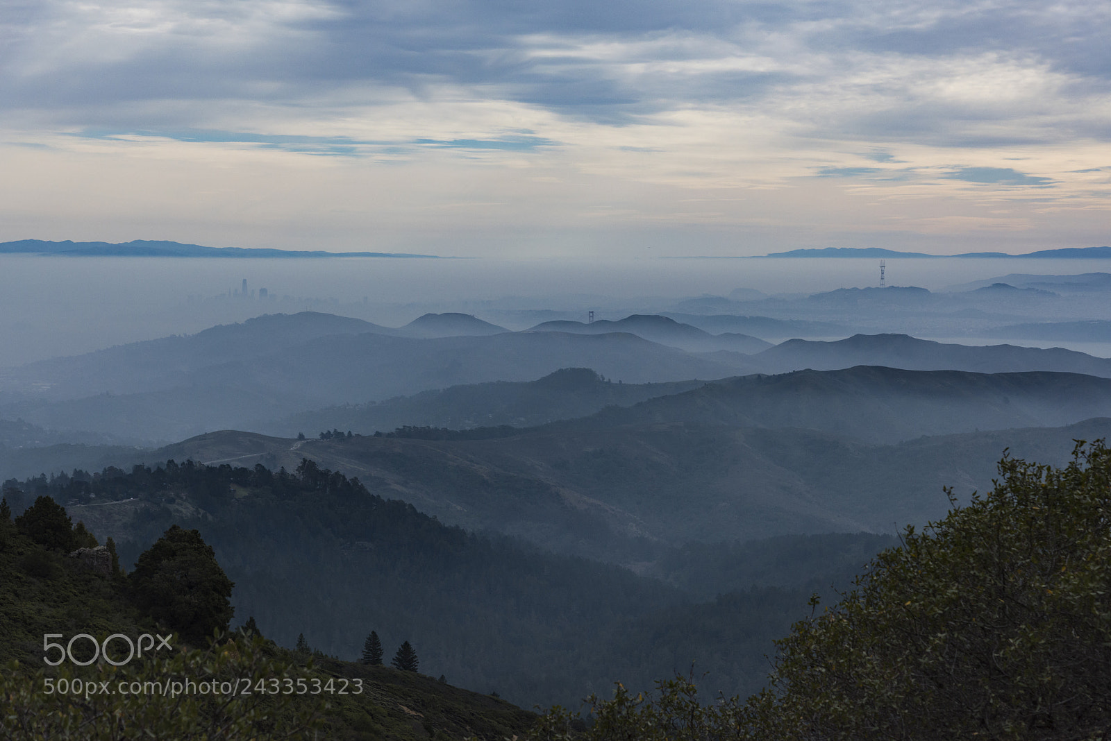 Nikon D810 sample photo. Untitled photography