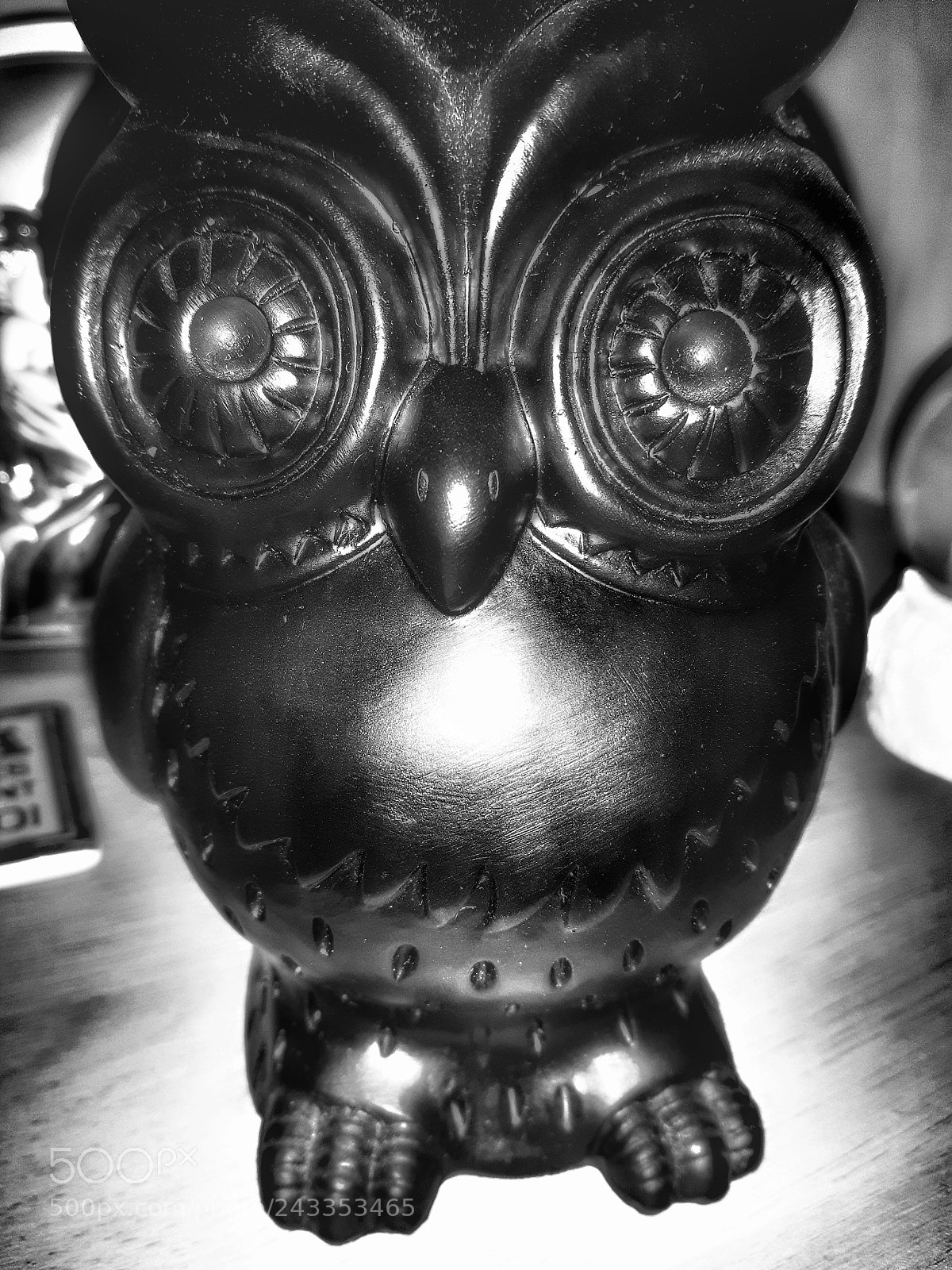 Samsung Galaxy S5 Neo sample photo. Little owl photography