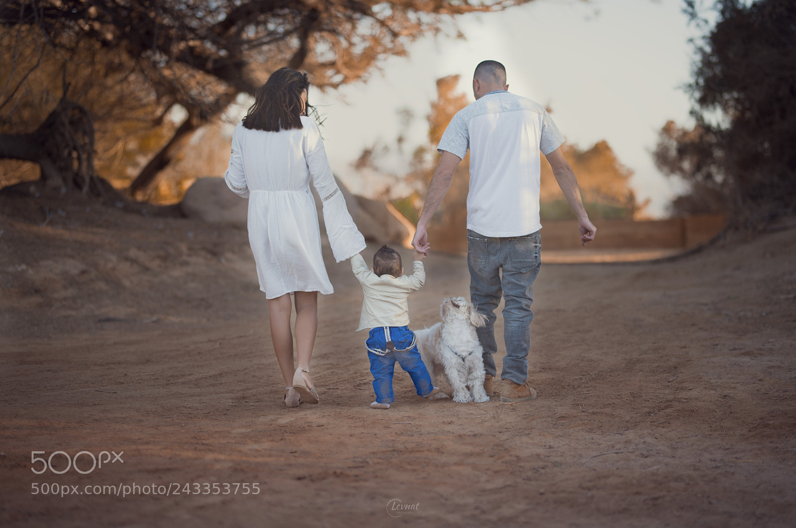 Nikon D610 sample photo. Edit photography