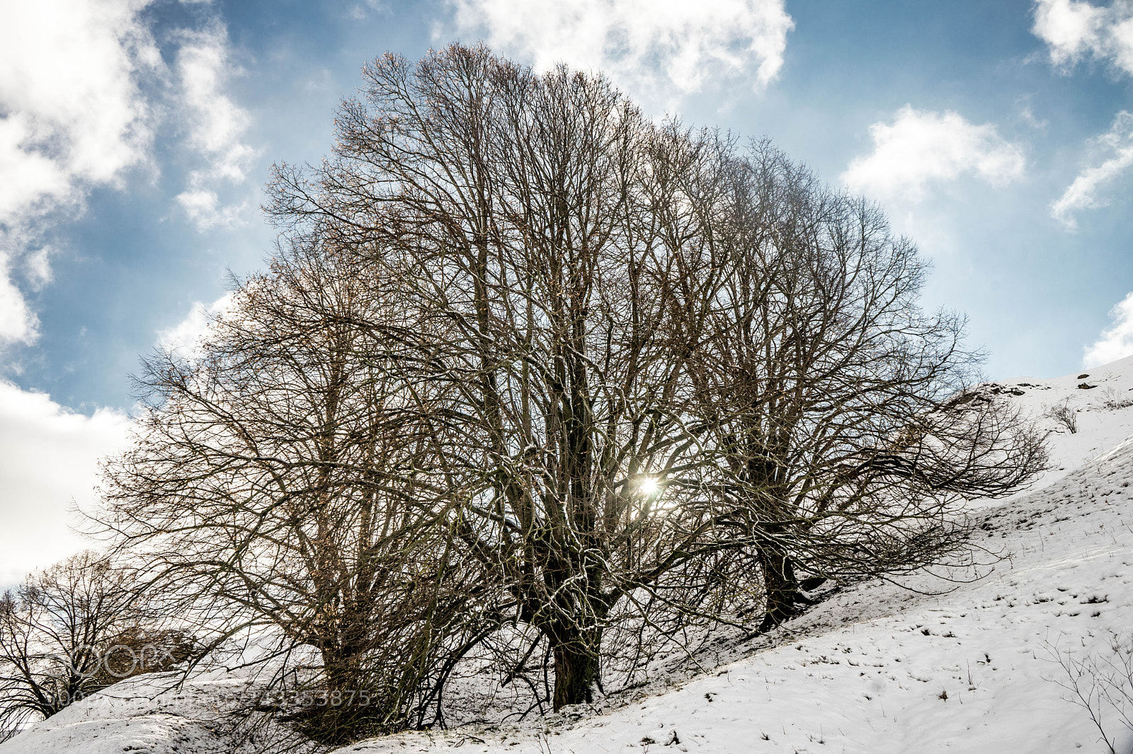 Sony a7 sample photo. Winter photography