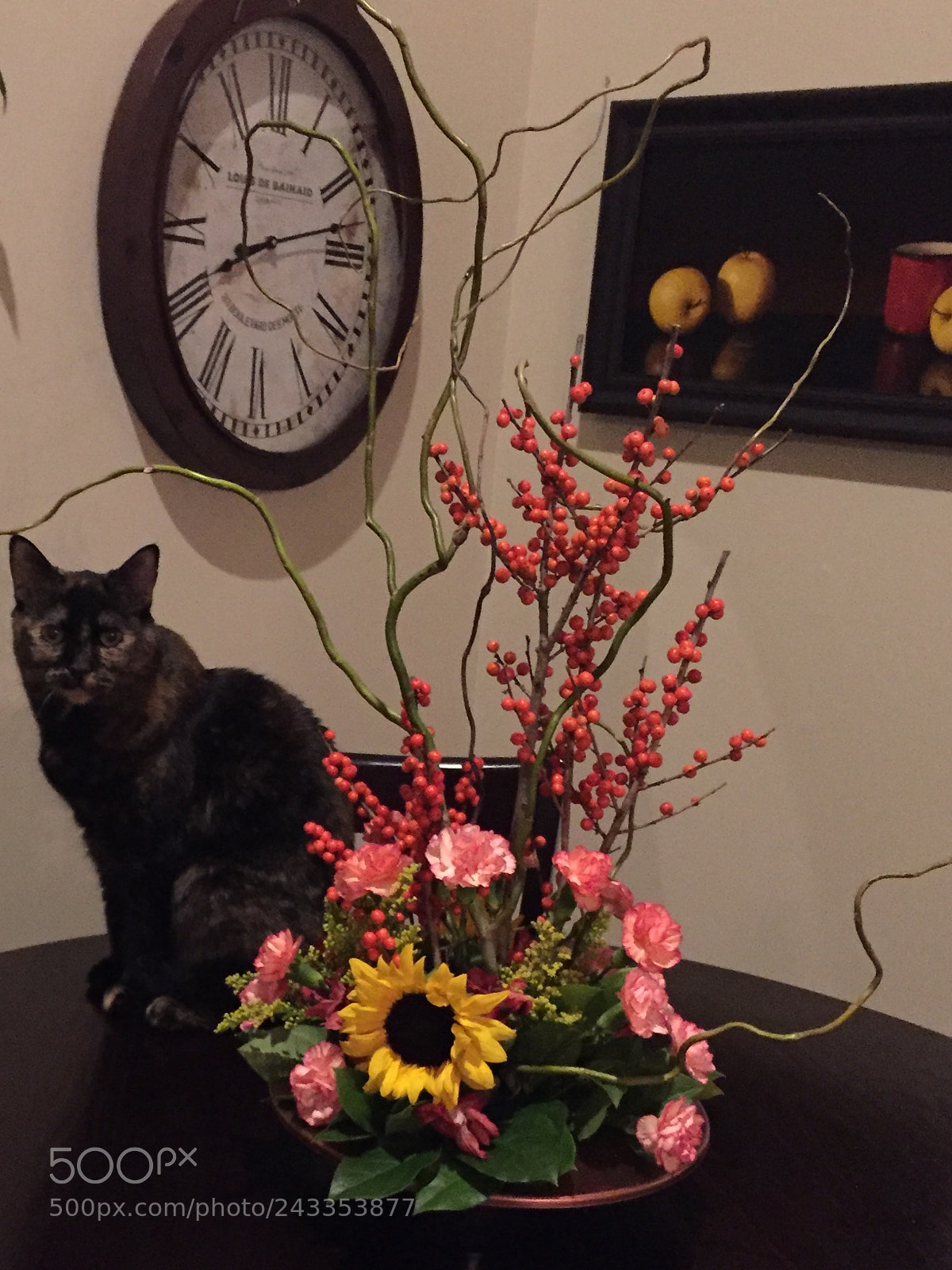 Apple iPhone 6 sample photo. Sydney loves flowers too.. photography
