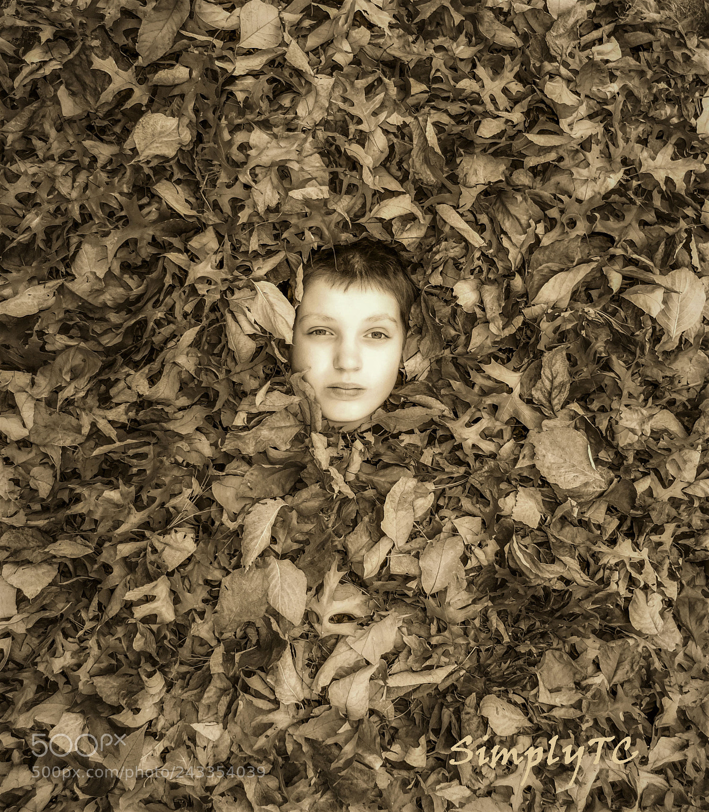 Fujifilm X10 sample photo. Leafboy photography