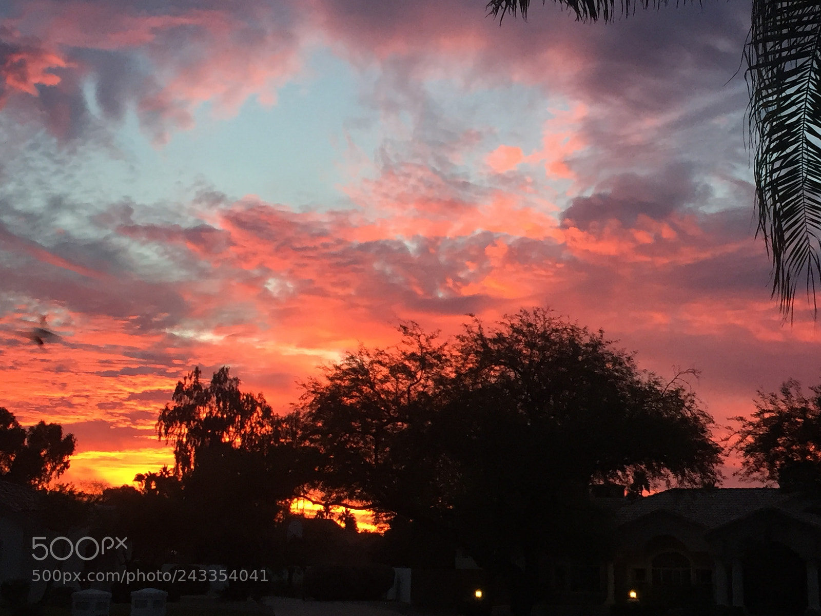 Apple iPhone 6 sample photo. Sunrise... photography