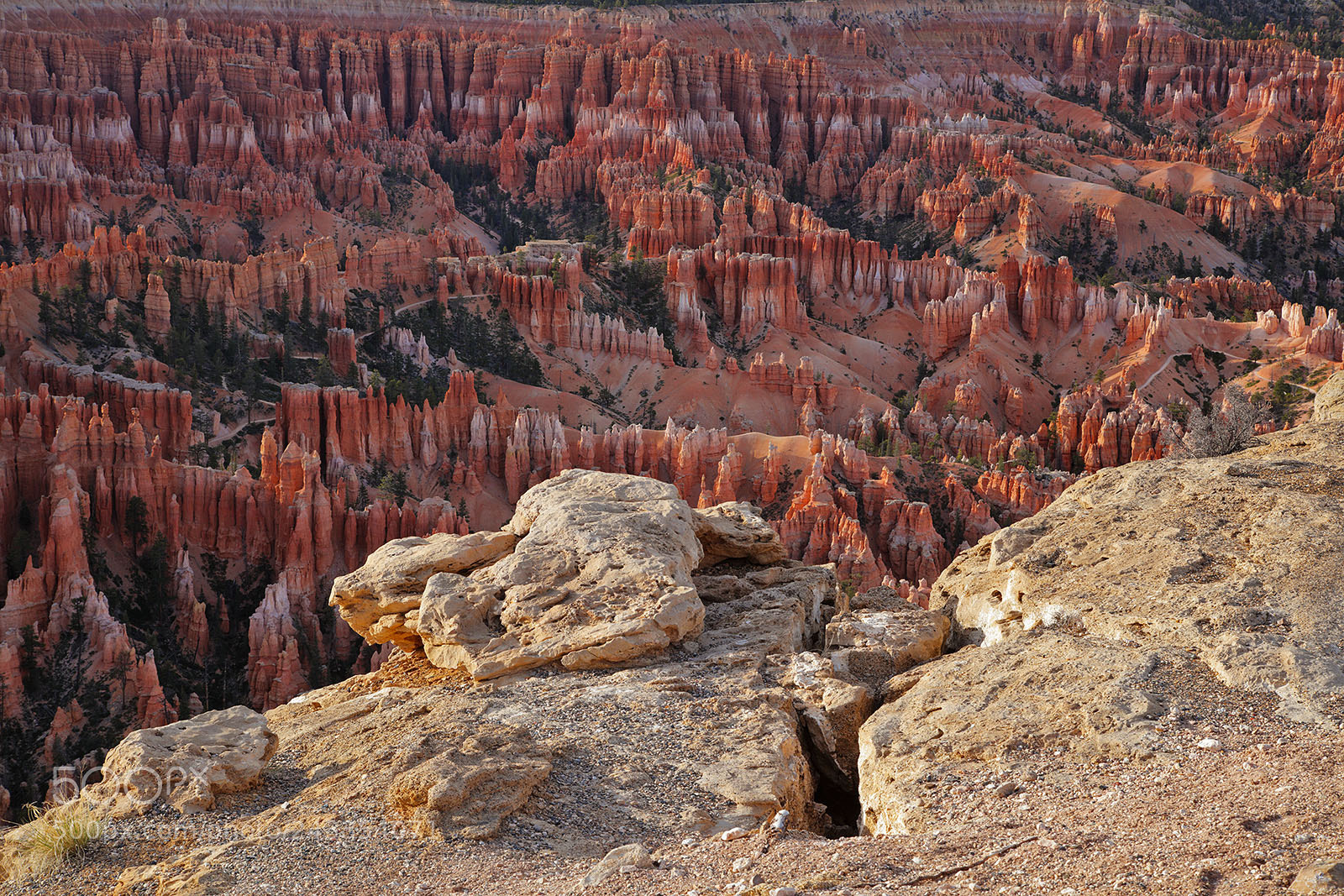 Canon EOS 5DS R sample photo. Bryce canyon natilonal park photography