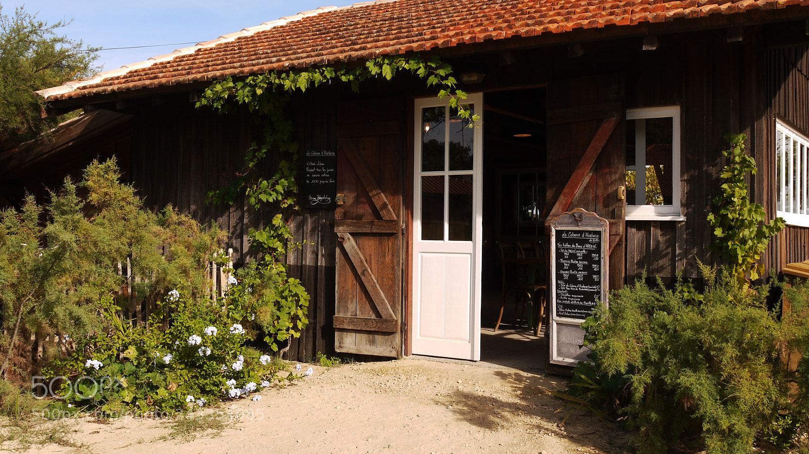 Panasonic Lumix DMC-GF1 sample photo. La cabane d'hortense photography