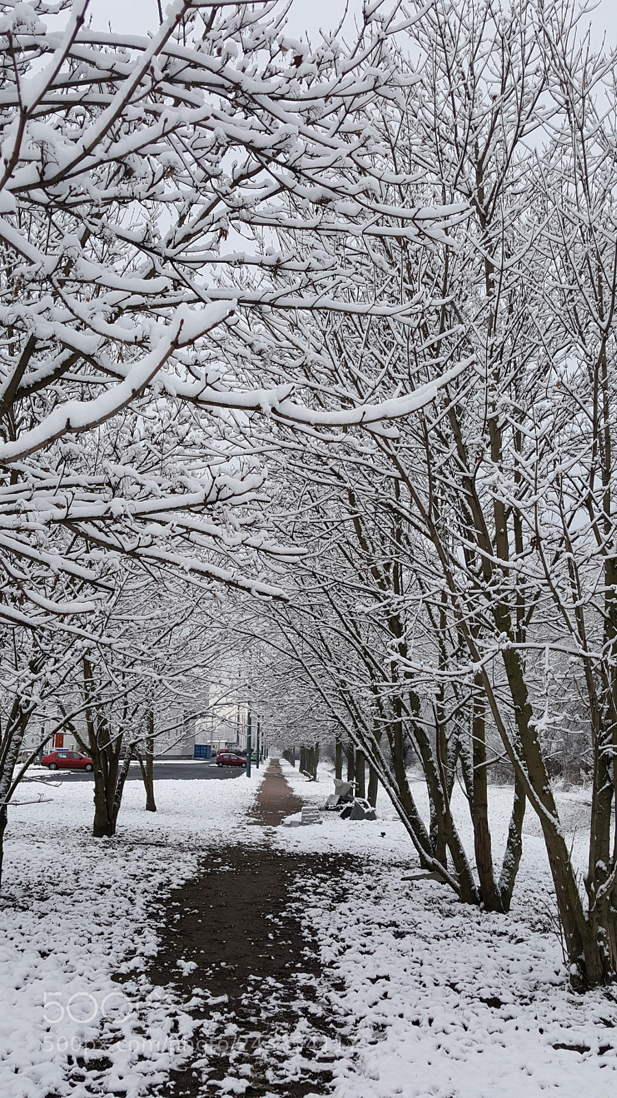 Samsung GALAXY S6 edge sample photo. Winter mood photography