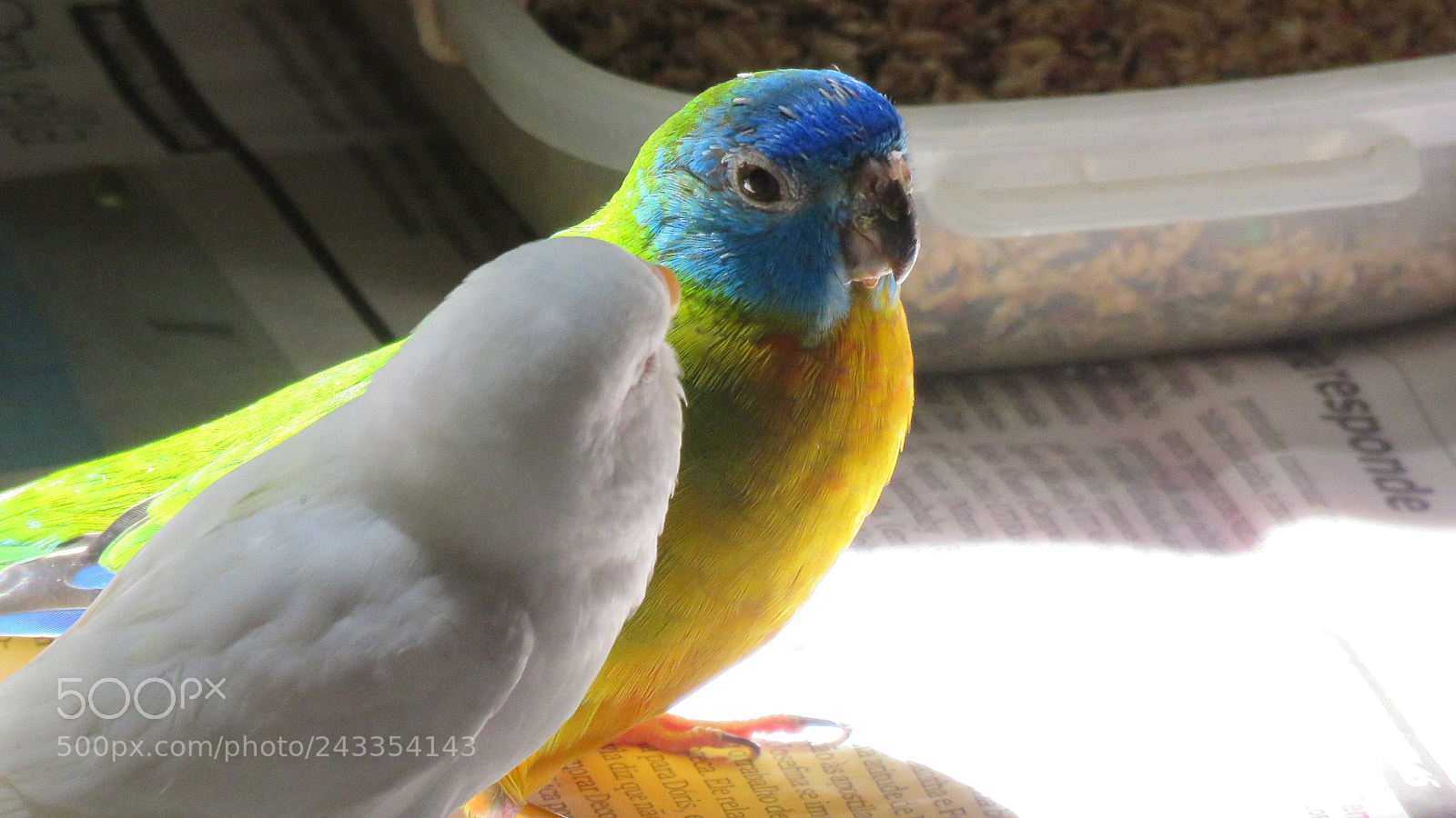 Canon PowerShot SX60 HS sample photo. Img photography