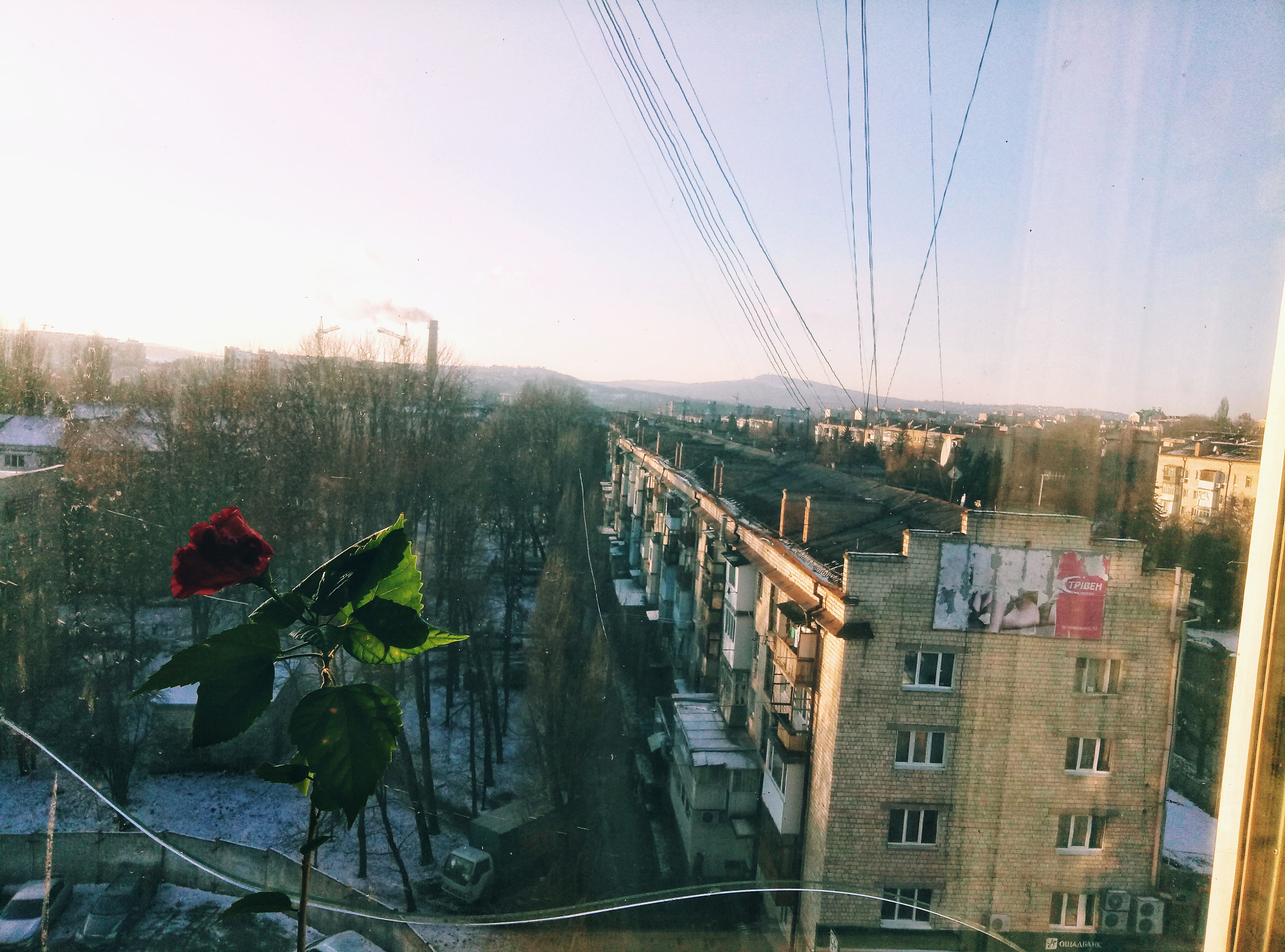 Meizu M3 Max sample photo