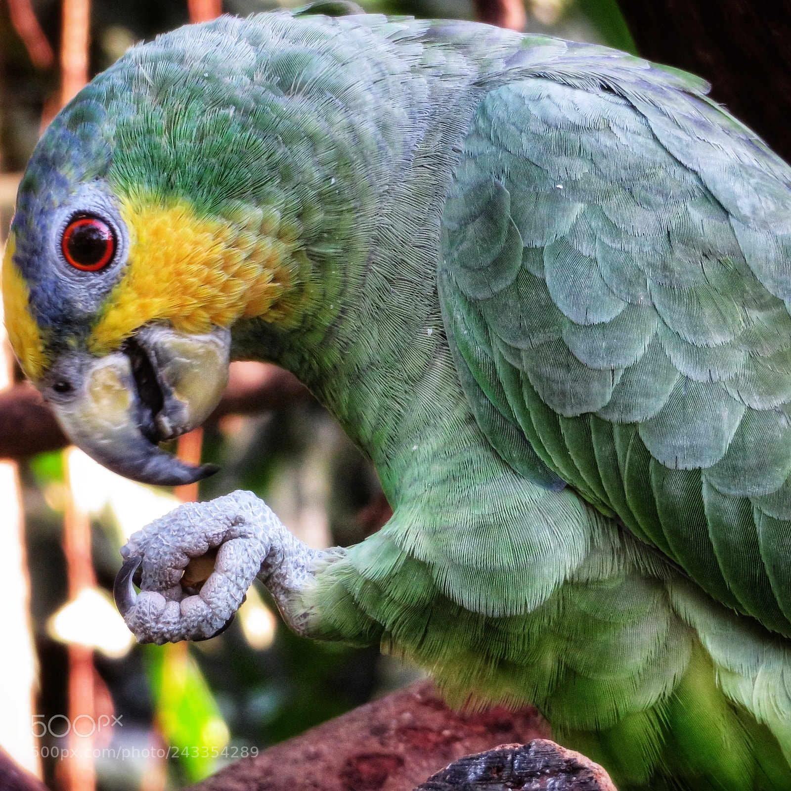 Canon PowerShot SX720 HS sample photo. Fist bump photography