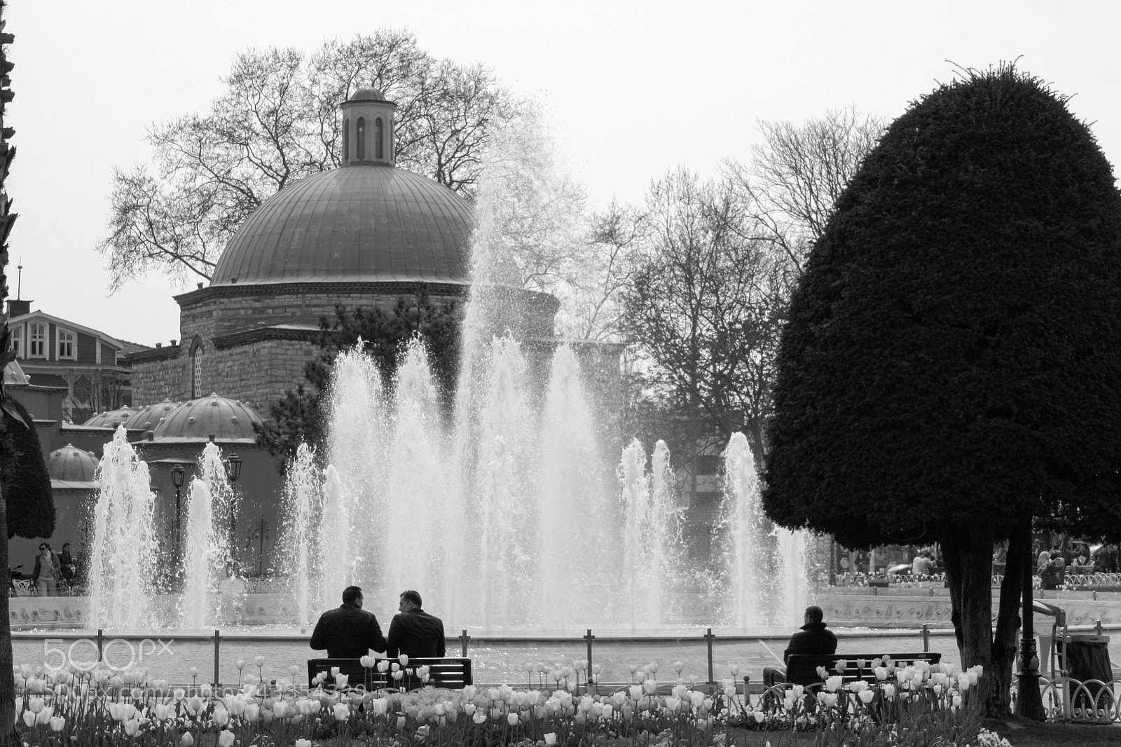 Canon EOS 450D (EOS Rebel XSi / EOS Kiss X2) sample photo. Men sitting in front photography