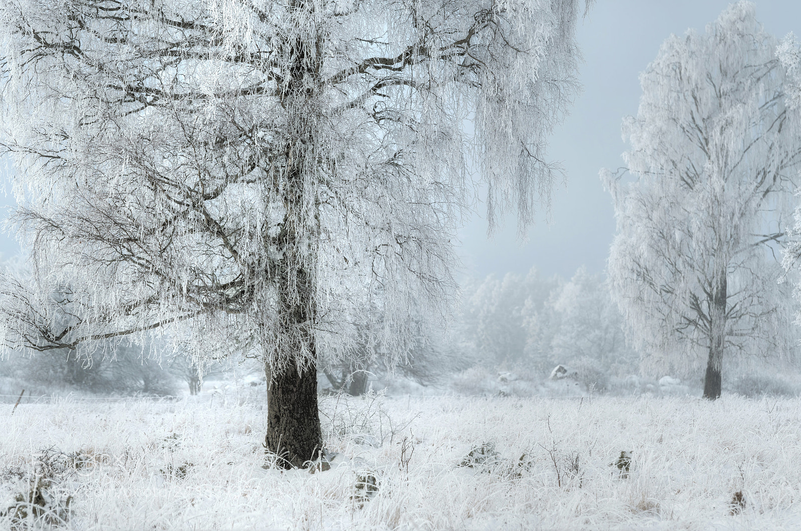 Nikon D500 sample photo. Maked up photography