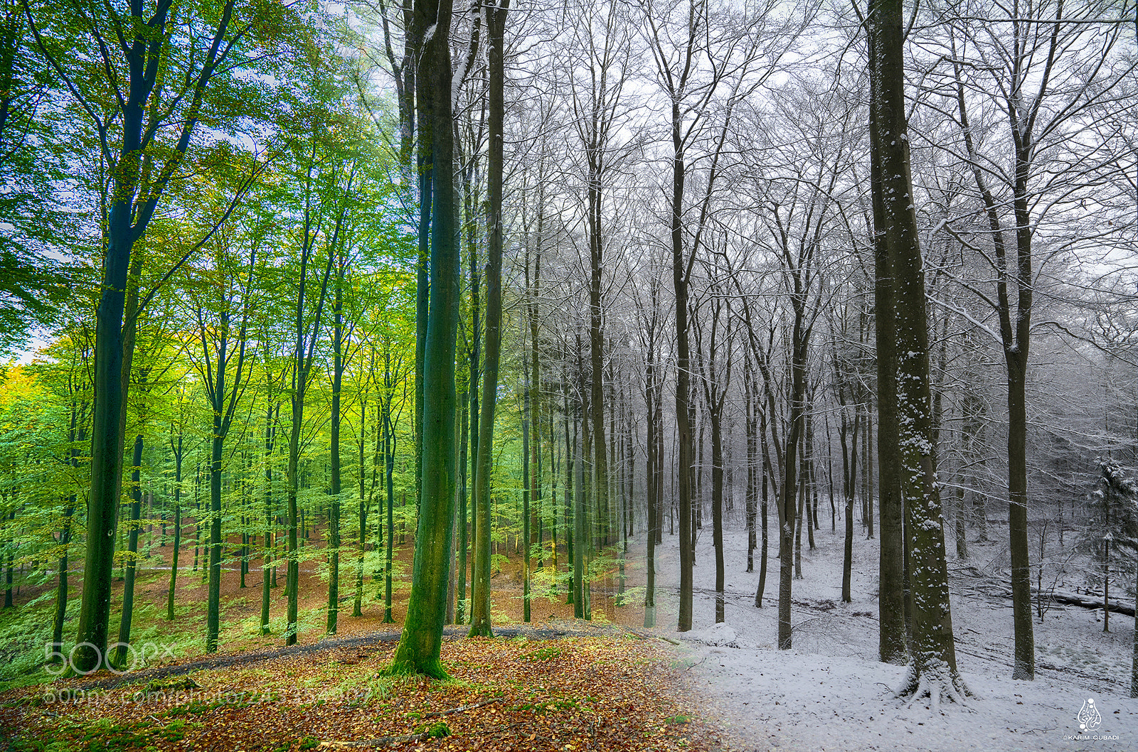 Sony a7R II sample photo. Two images merge in photography