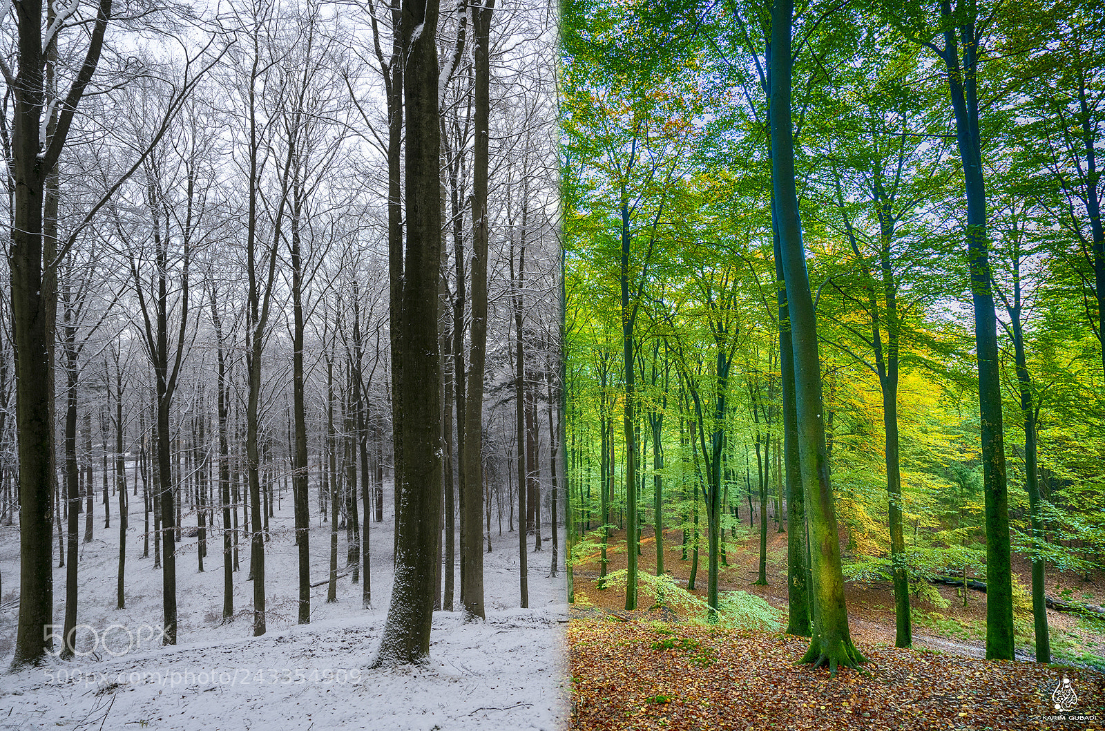 Sony a7R II sample photo. Two images merge in photography