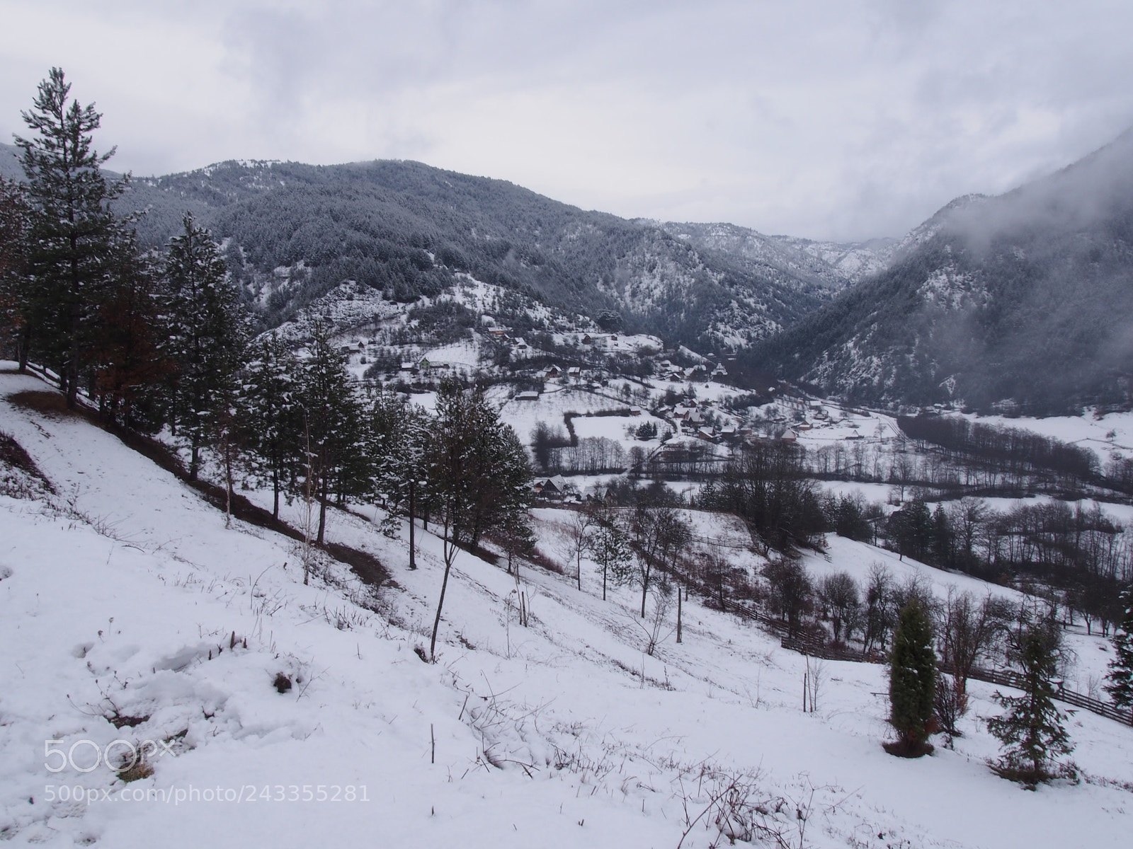 Olympus PEN E-PL5 sample photo. Mokra gora 3 photography