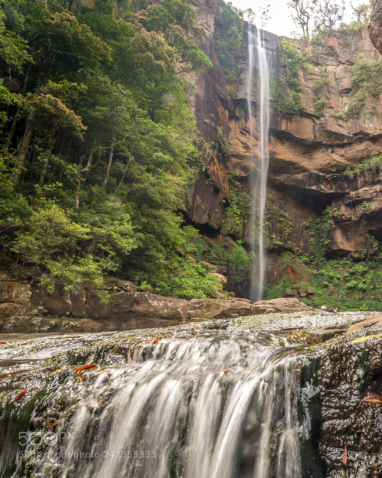 Nikon D610 sample photo. Belmore falls photography