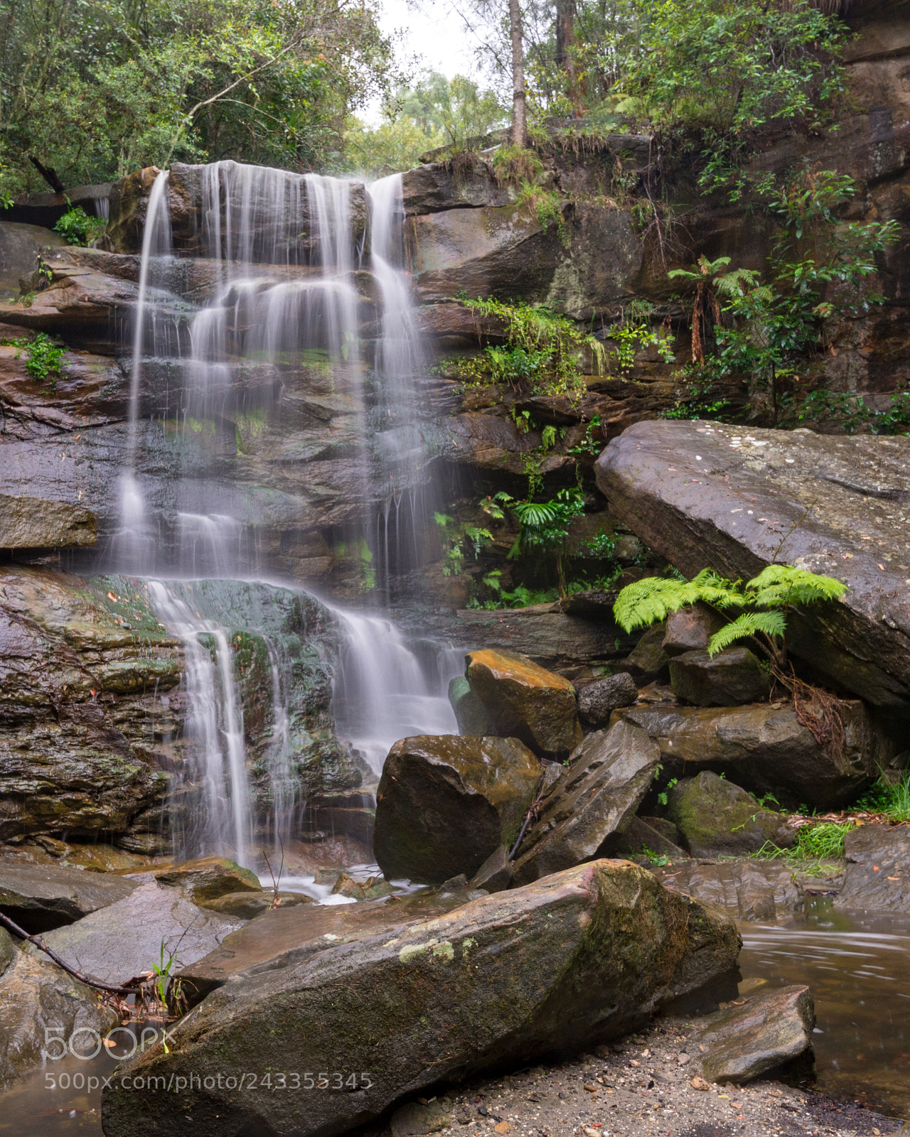 Nikon D610 sample photo. Deep creek falls photography