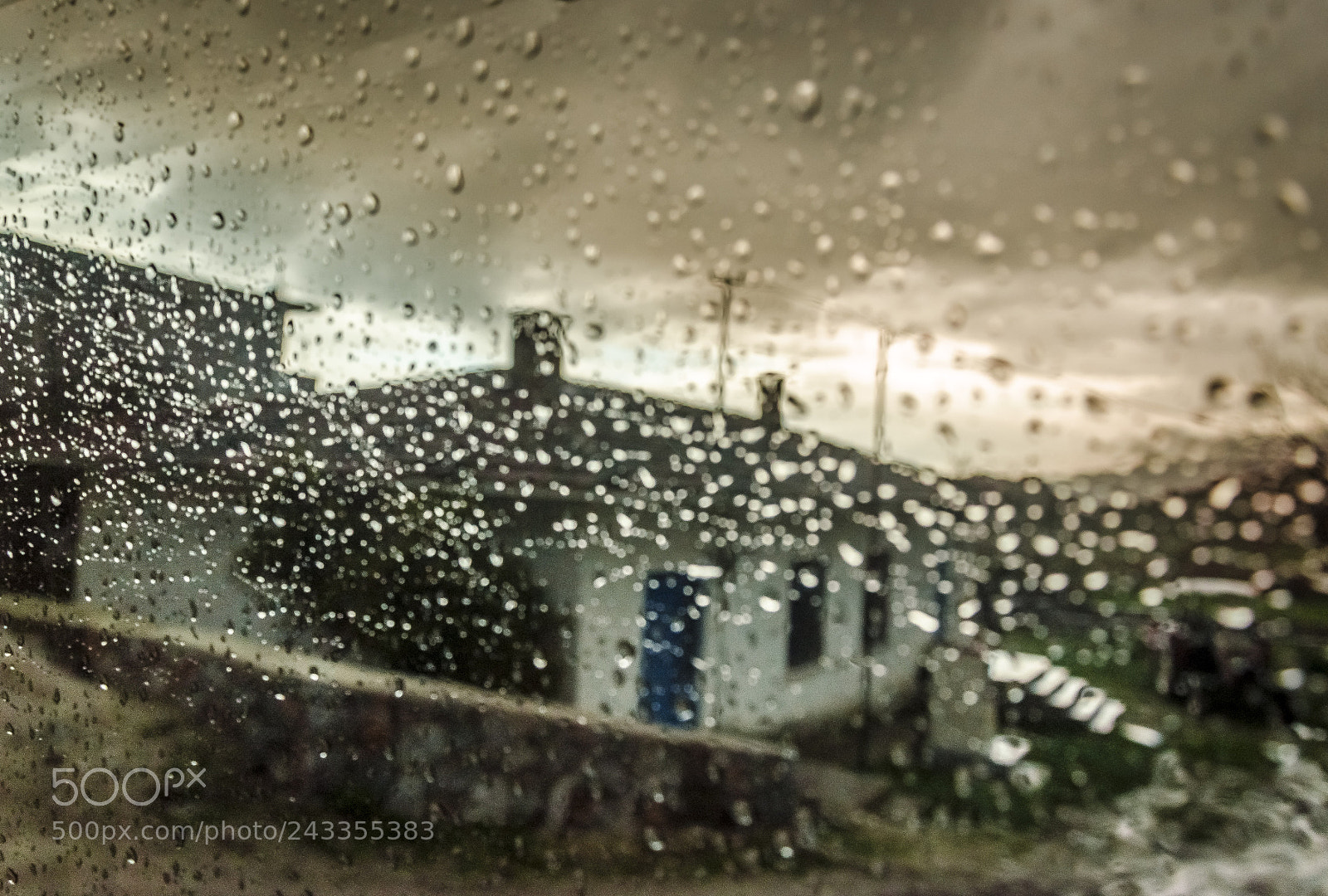 Nikon D5100 sample photo. Rainy photography