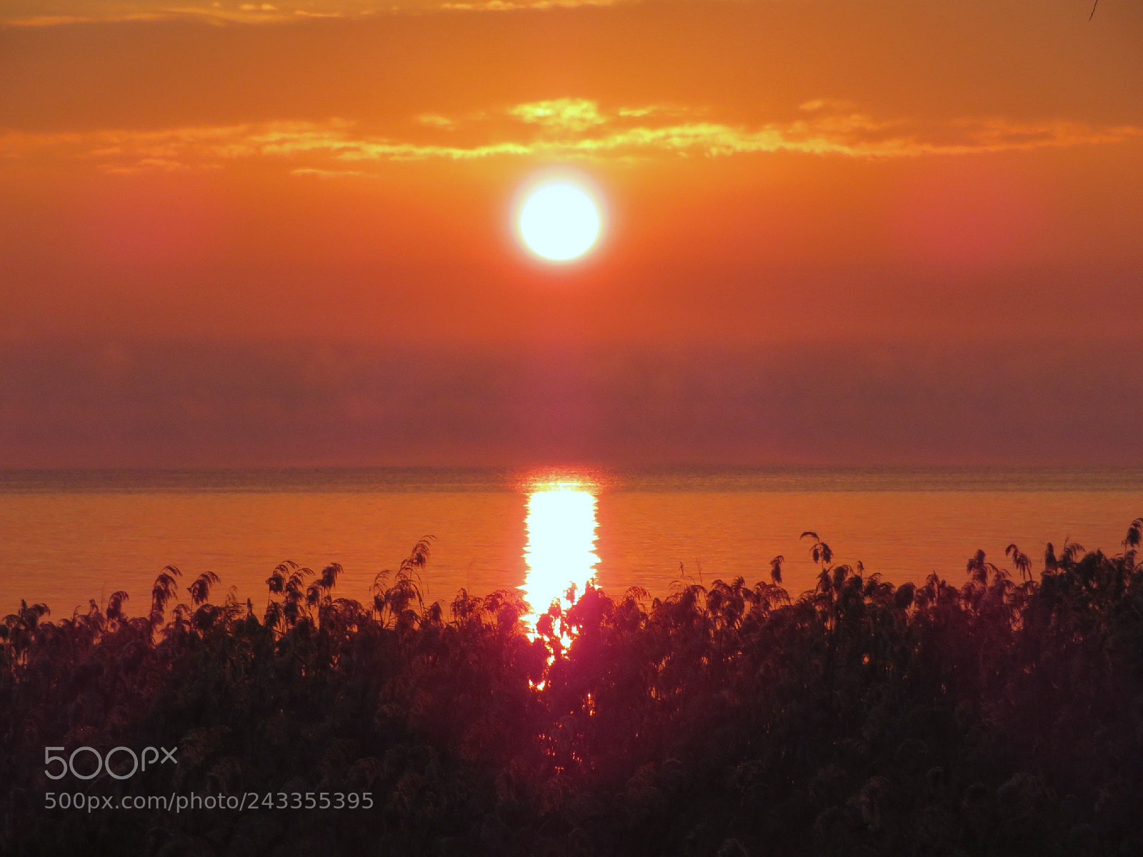 Canon PowerShot SX730 HS sample photo. Sunrise in sirmione photography