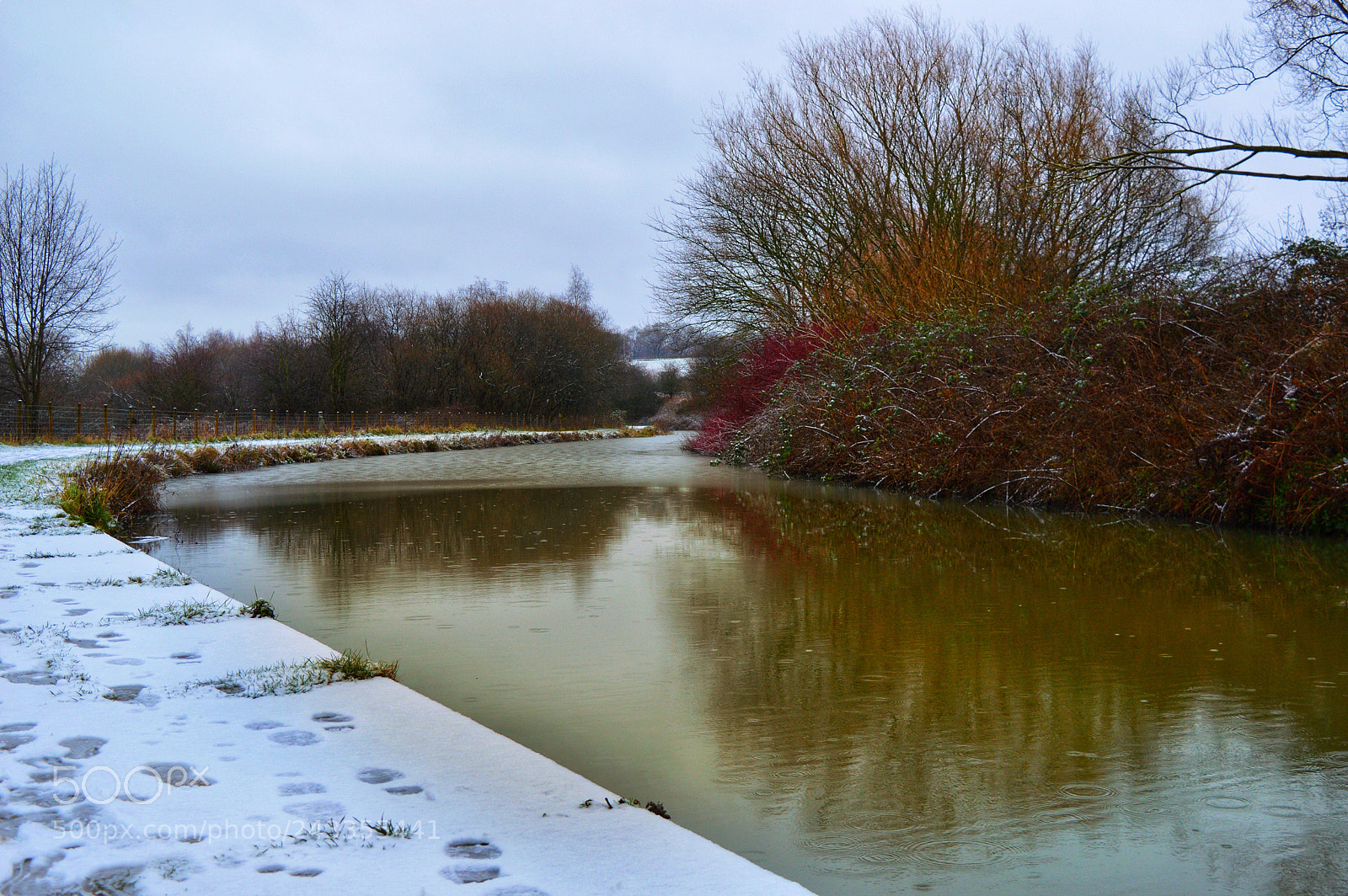 Nikon D3200 sample photo. Snowh canal walks photography