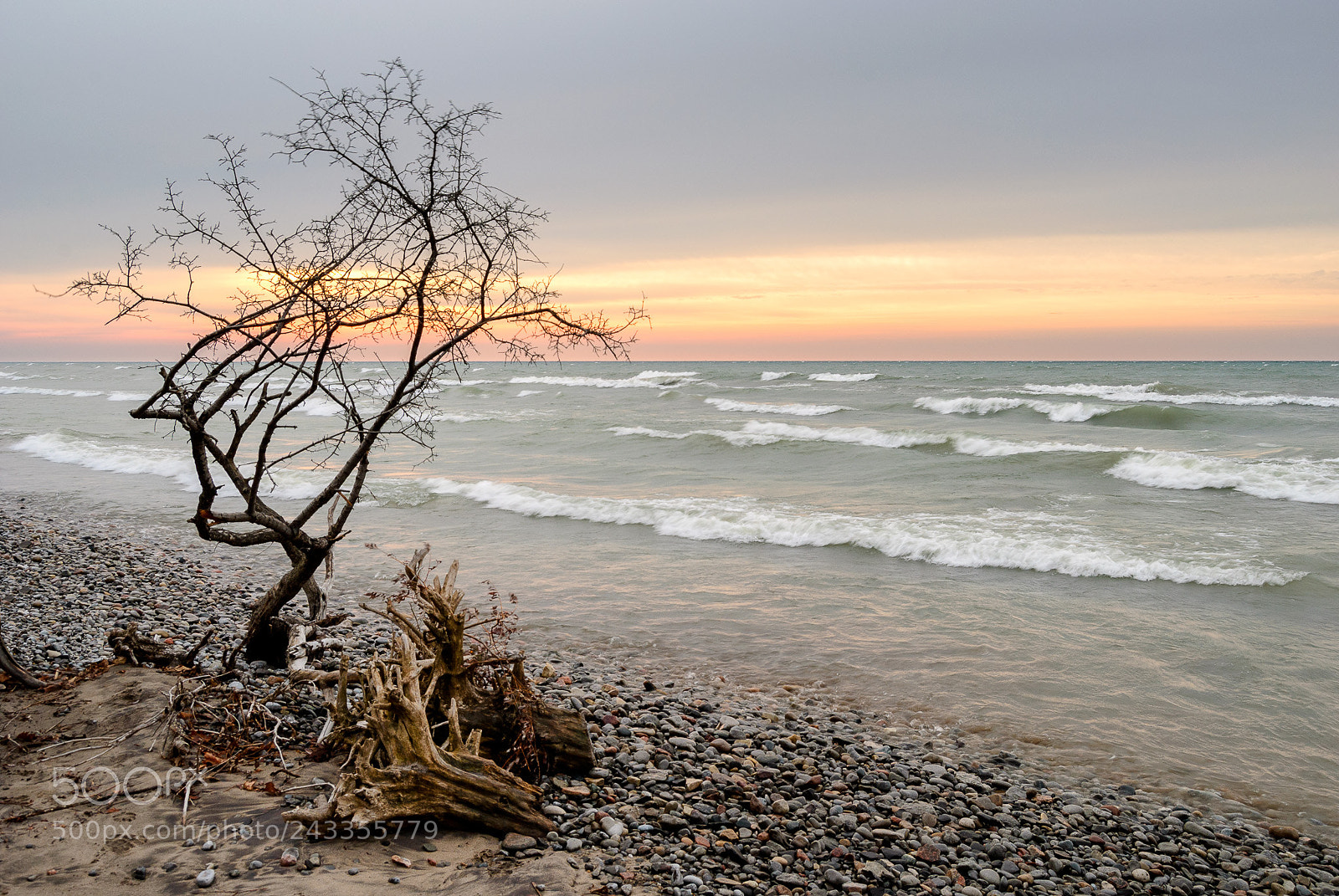 Nikon D3000 sample photo. A windy morning photography