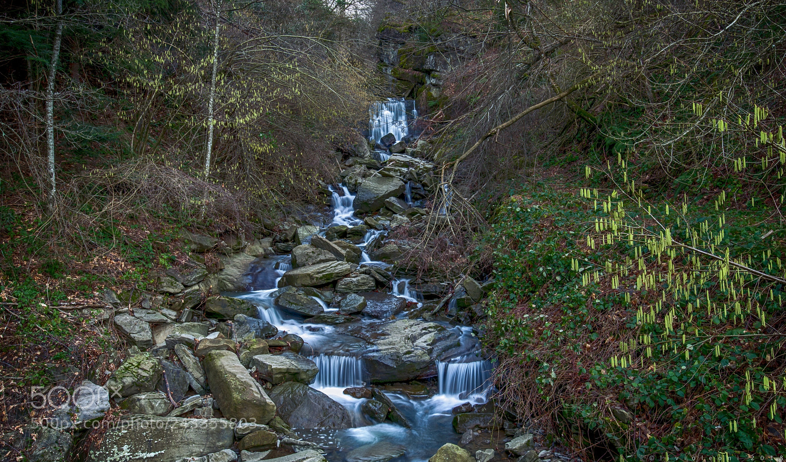 Pentax K-1 sample photo. Clear fresh and sweet photography