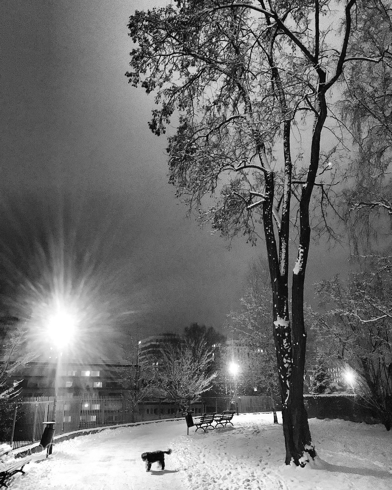 Apple iPhone 7 Plus sample photo. Bronowice, krakow, poland photography