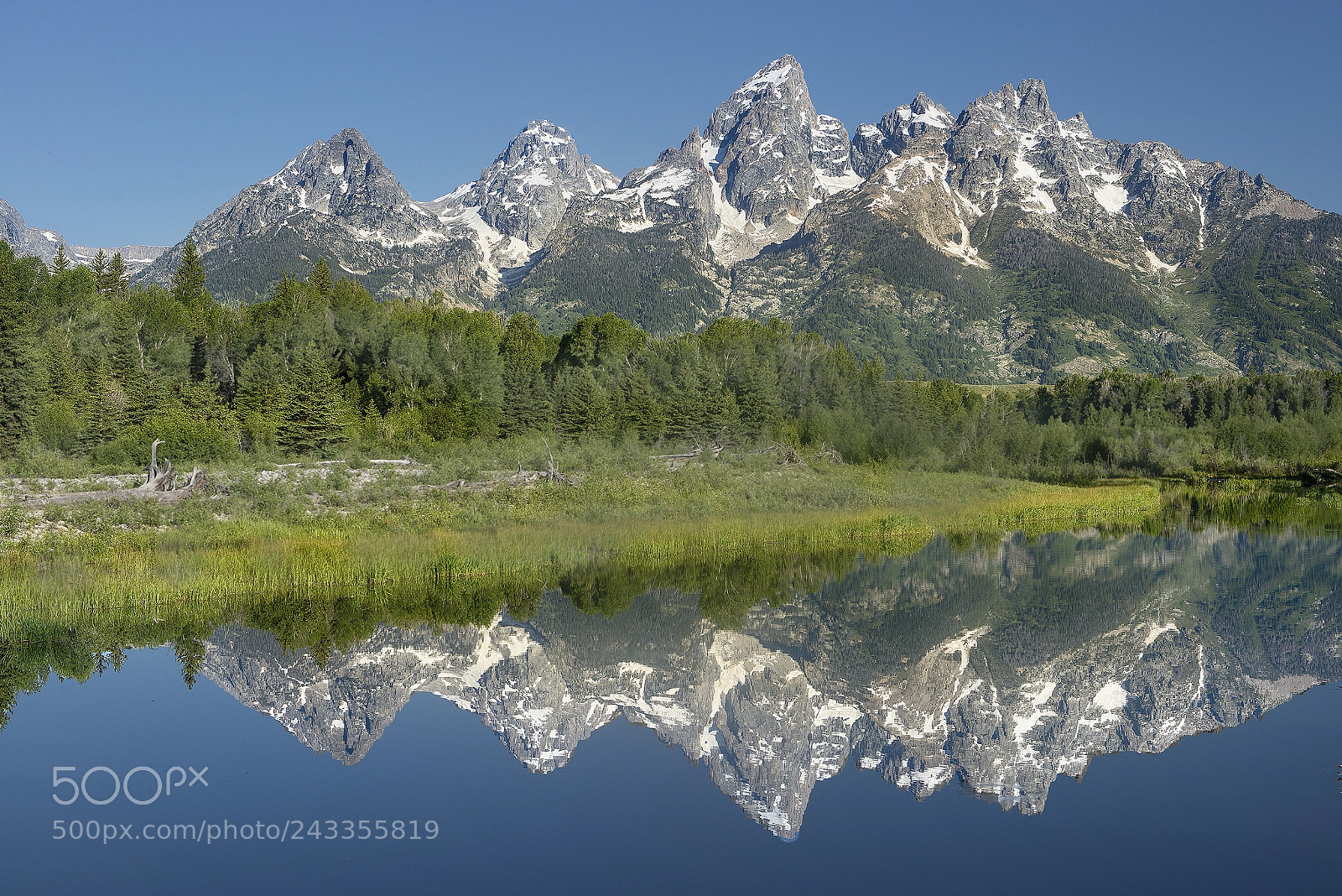 Nikon D610 sample photo. Morning reflection photography