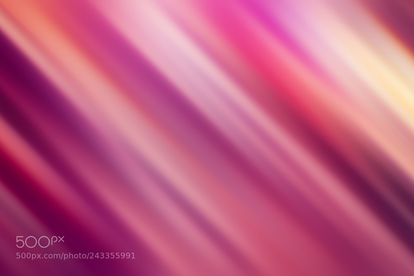 Nikon D5500 sample photo. Spring purple abstract blurred photography