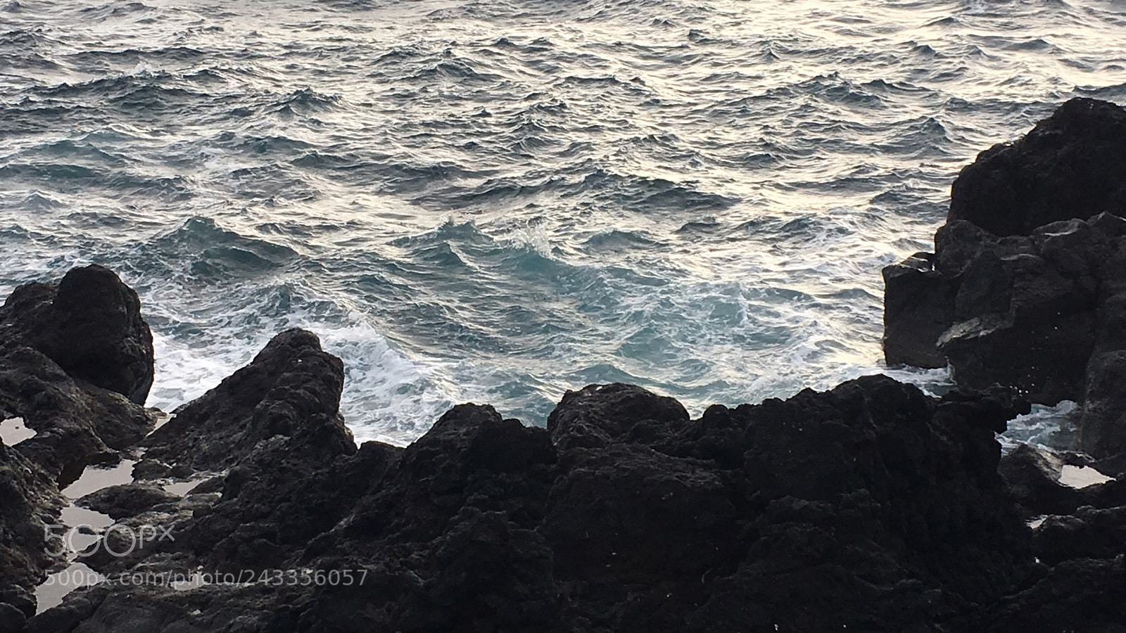 Apple iPhone 6s Plus sample photo. Untitled photography