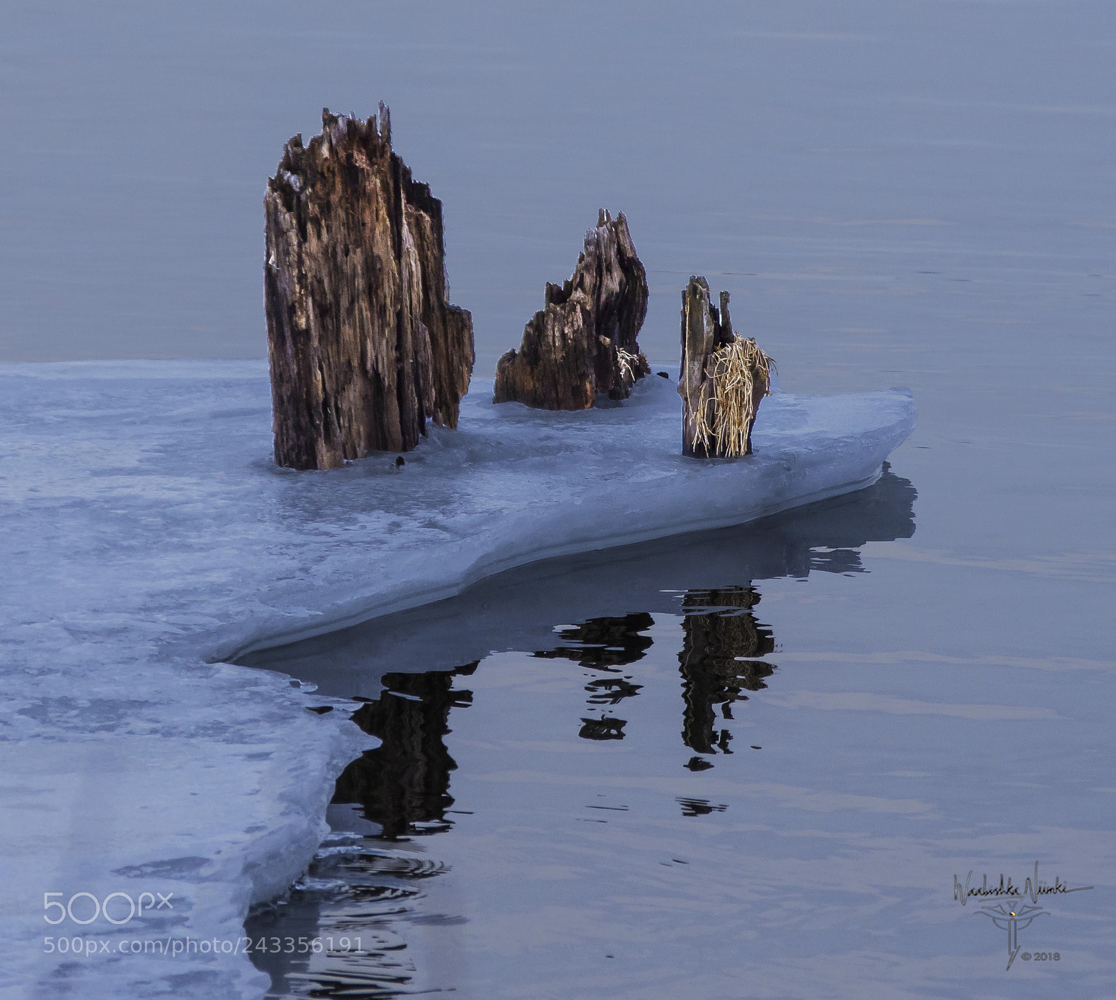 Nikon D7200 sample photo. Ice pilings photography