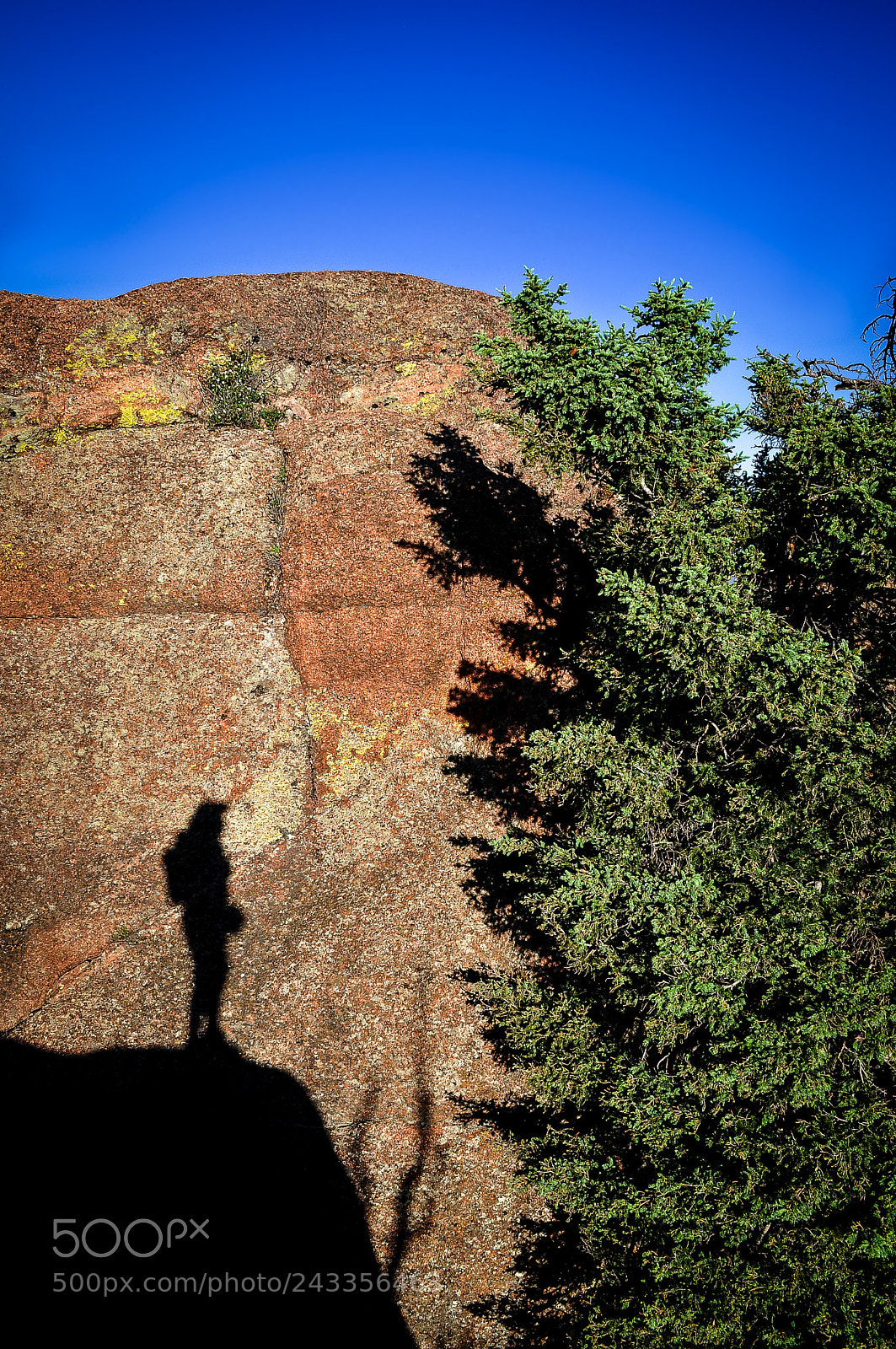 Nikon D5000 sample photo. Recorded impression on rock photography