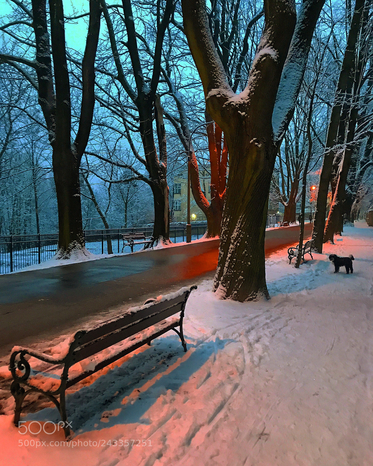 Apple iPhone 7 Plus sample photo. Al. waszyngtona, krakow, poland photography