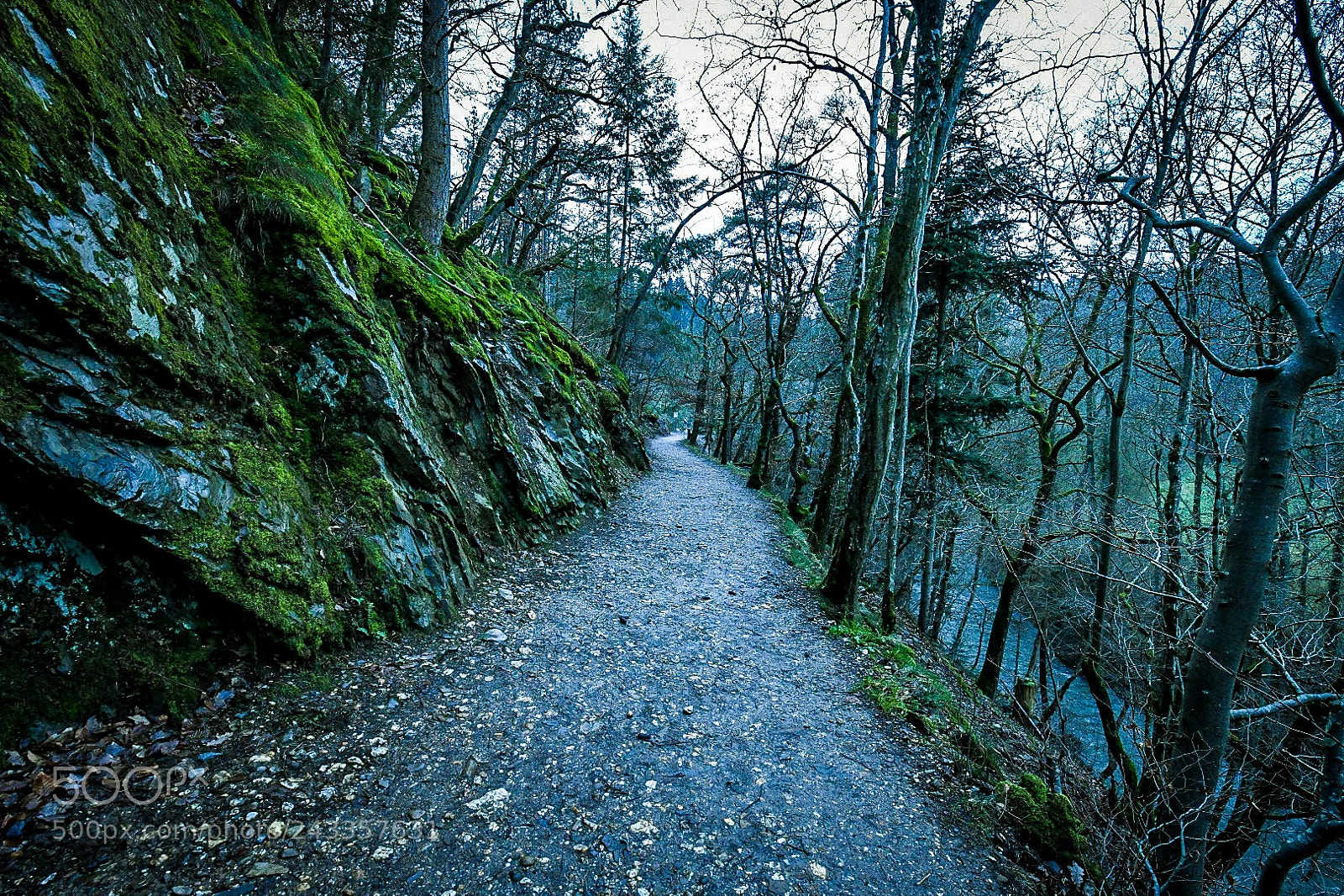 Nikon D850 sample photo. Untitled photography