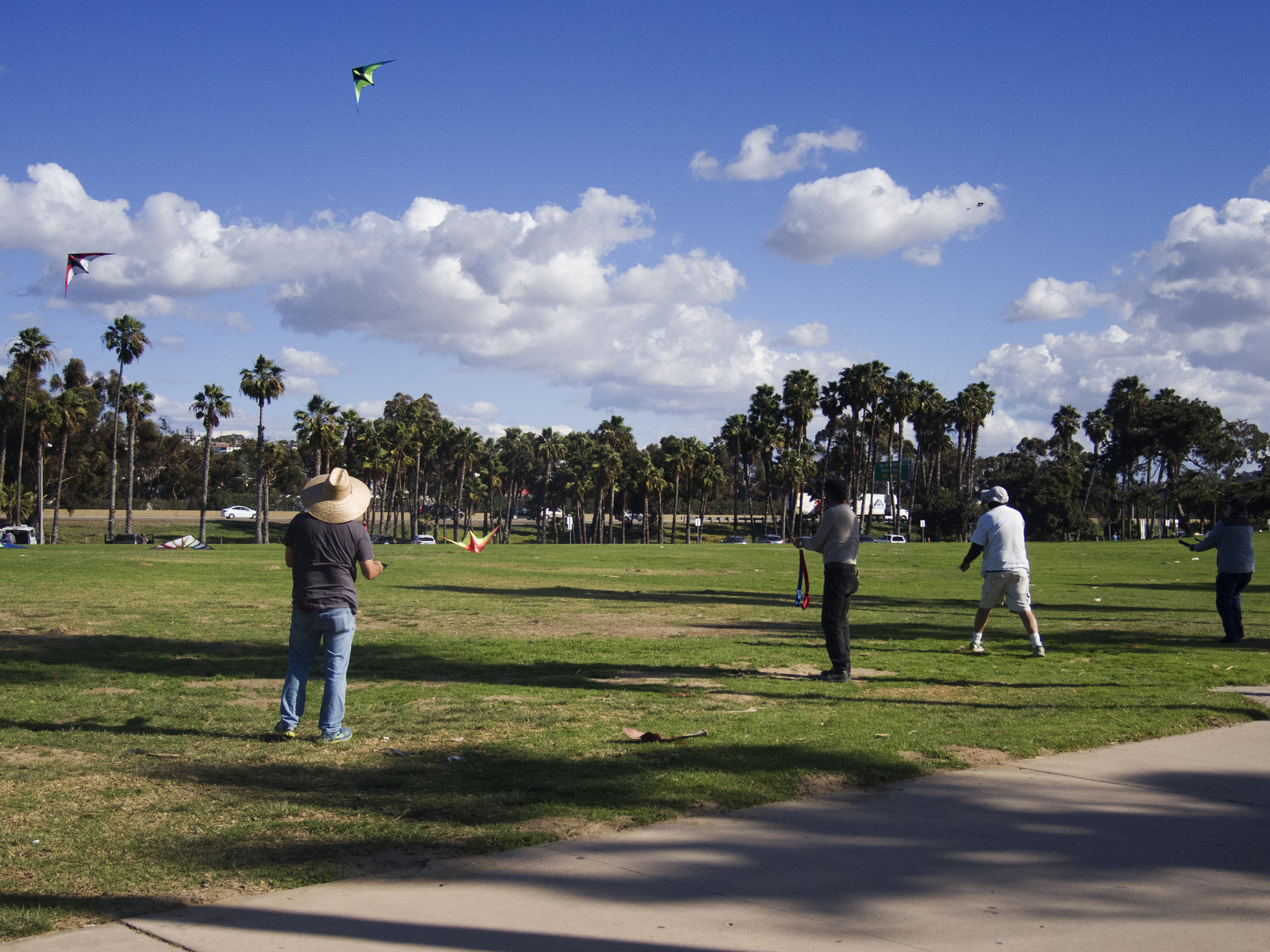 Nikon Coolpix P7800 sample photo. Kite flyers photography