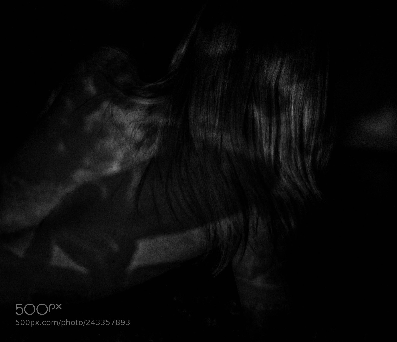 Nikon D3100 sample photo. M.black&white photography