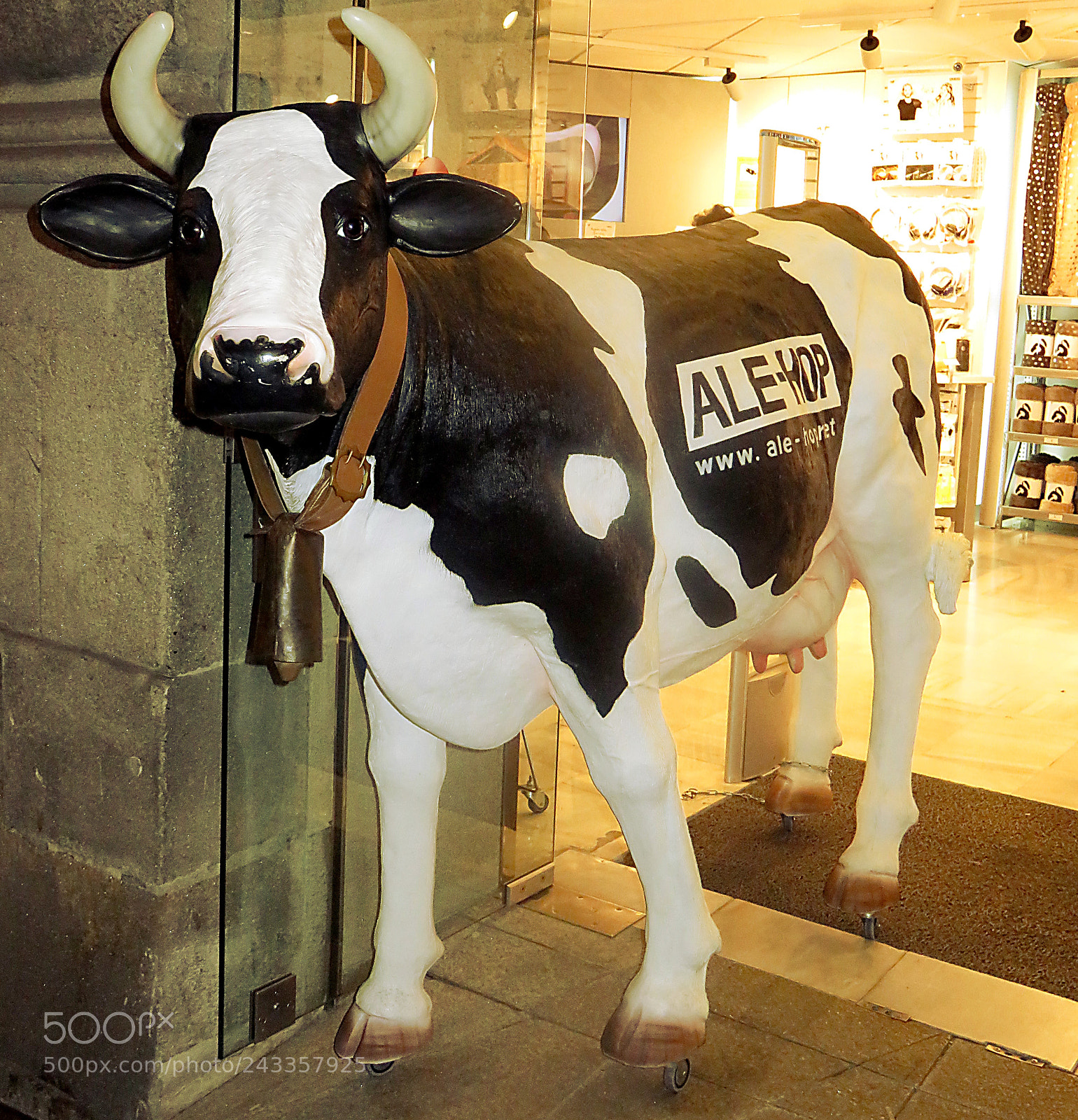 Canon PowerShot SX710 HS sample photo. Cow photography
