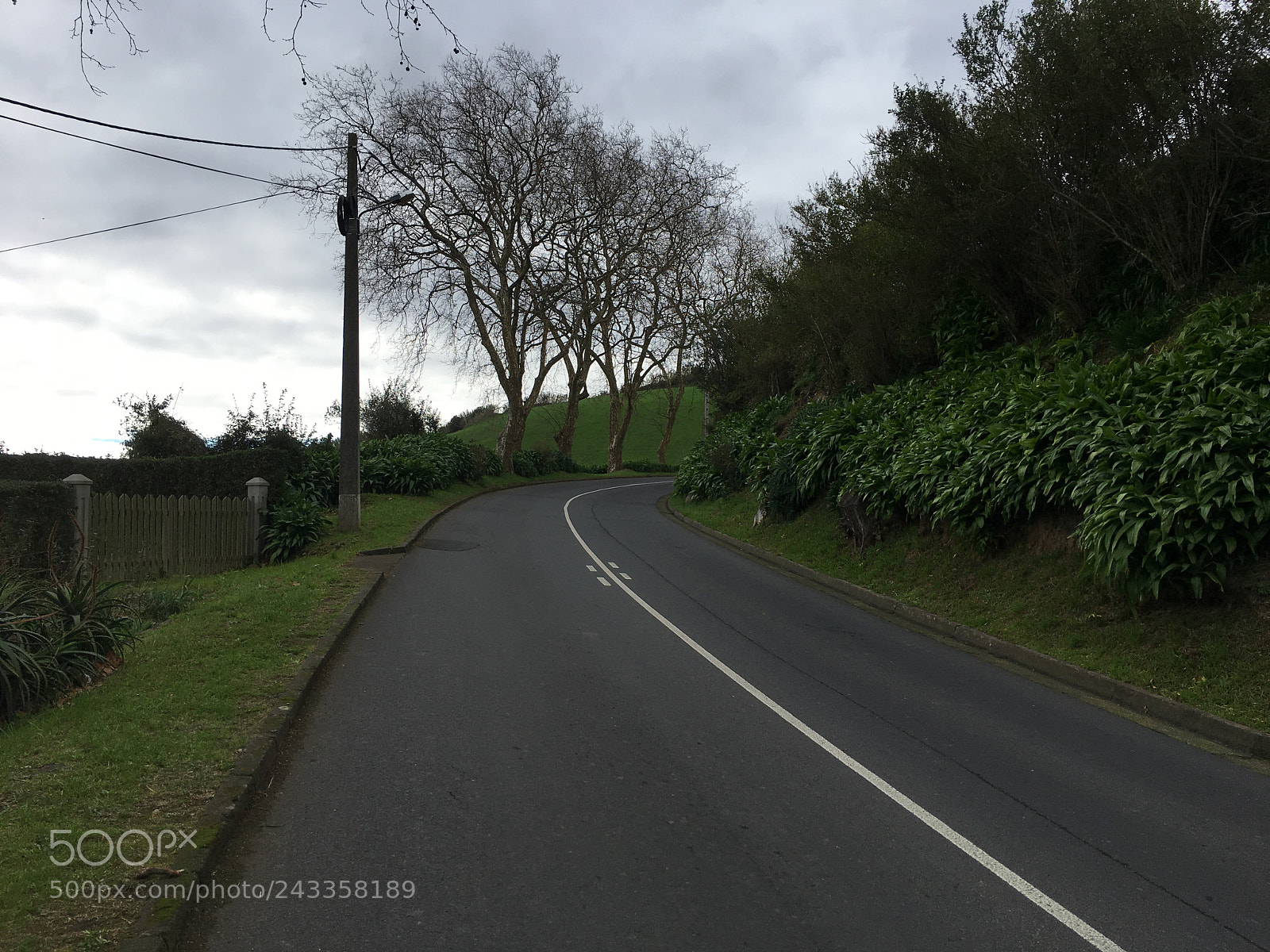 Apple iPhone 6s Plus sample photo. Untitled photography