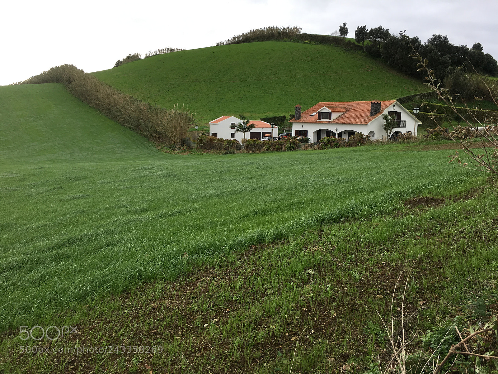 Apple iPhone 6s Plus sample photo. Houses on the hill photography