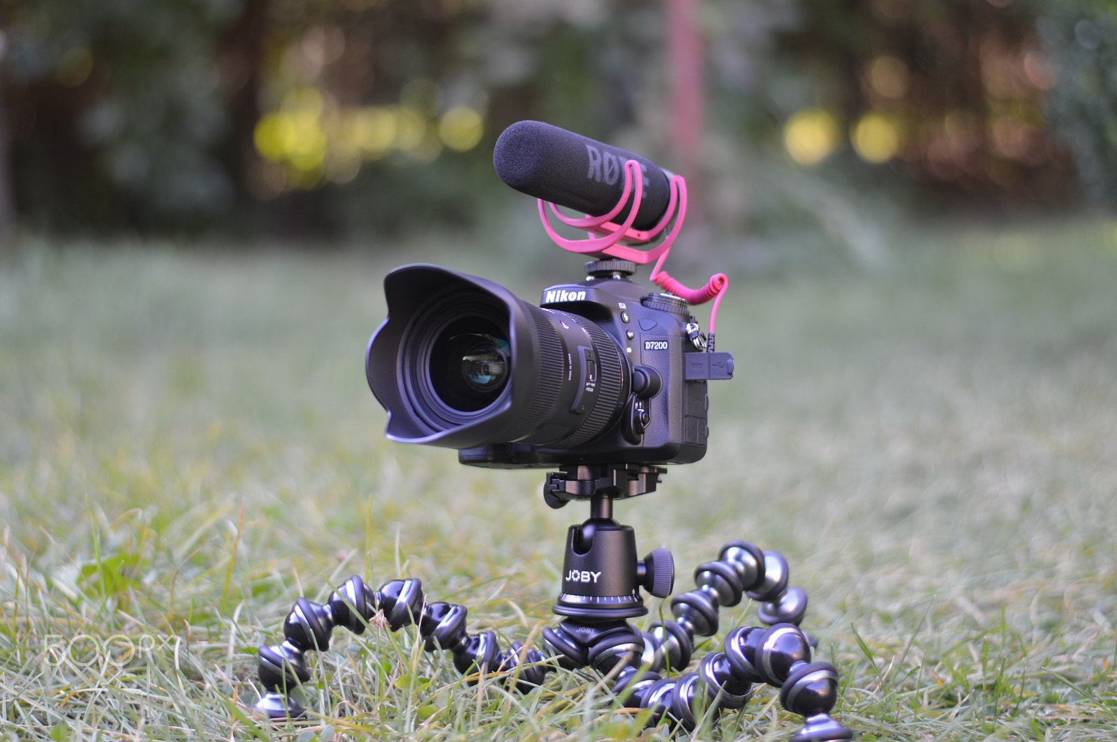 Nikon D3200 + Nikon AF-S Nikkor 50mm F1.8G sample photo. A wild camera photography