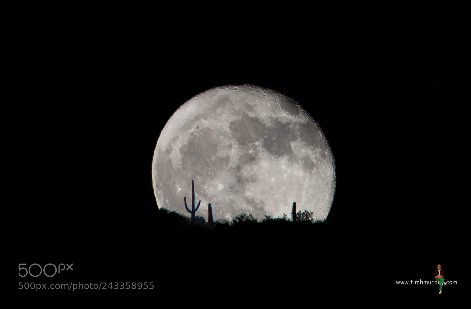 Nikon D7100 sample photo. Tucson harvest moon photography