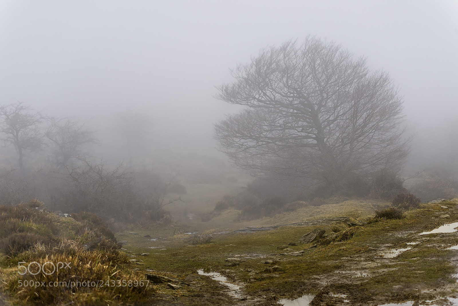 Nikon D610 sample photo. Fog over urkabustaiz photography