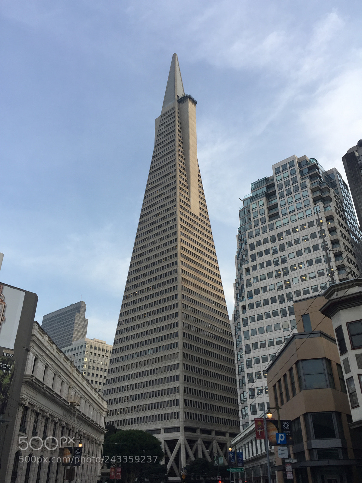 Apple iPhone 6 Plus sample photo. Img photography