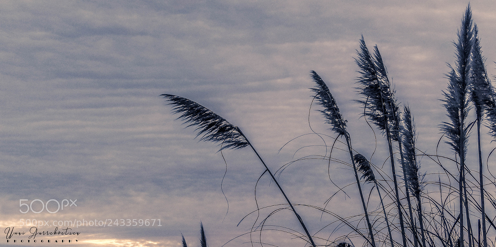Sony Cyber-shot DSC-HX100V sample photo. Atardecer photography