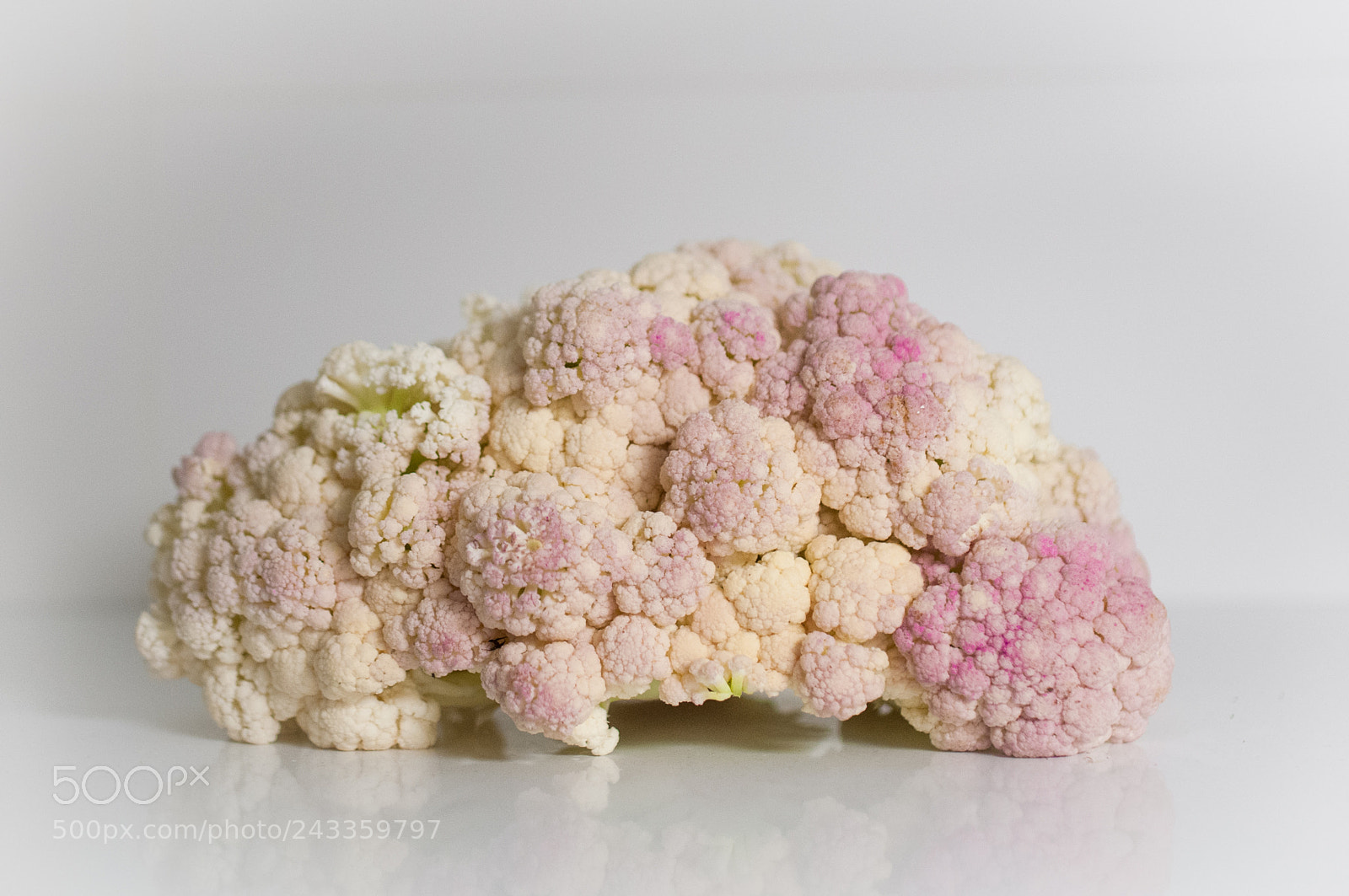 Nikon D300S sample photo. The cauliflower photography