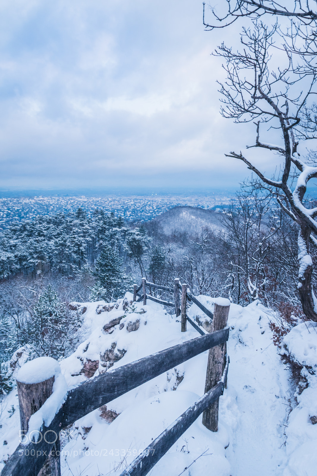 Nikon D7200 sample photo. János hill, budapest photography
