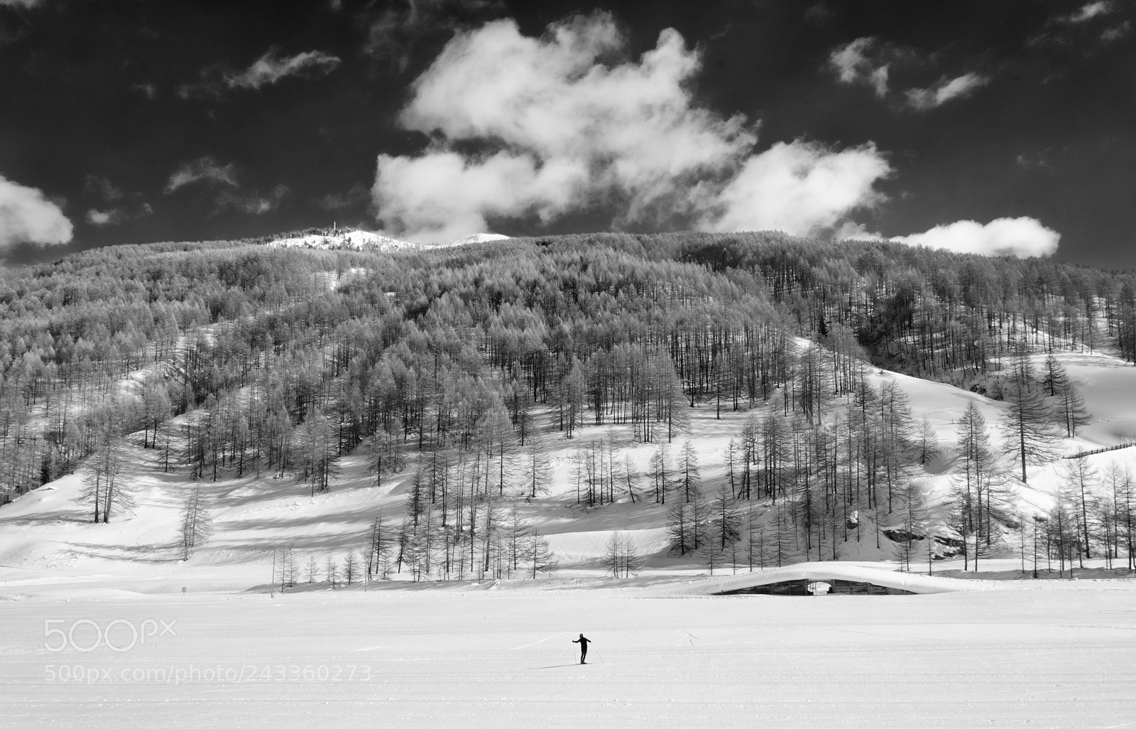 Nikon D5100 sample photo. Pragelato photography