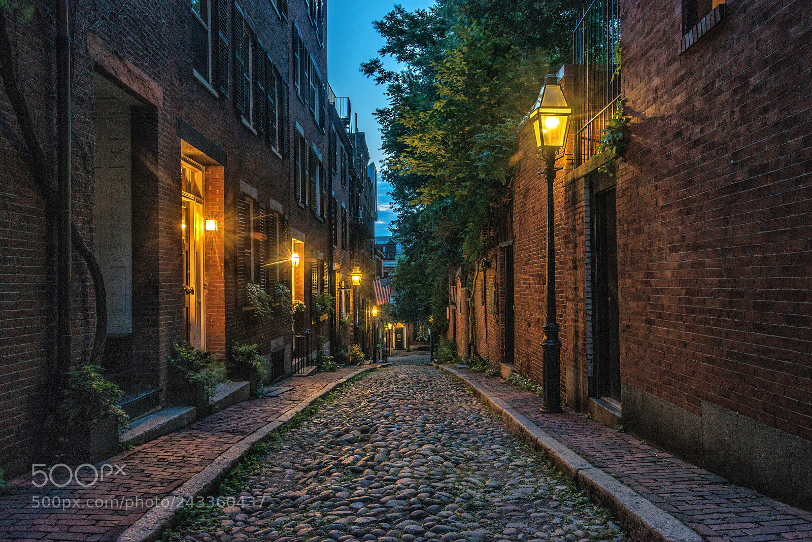Nikon D800 sample photo. Dusk on acorn street photography