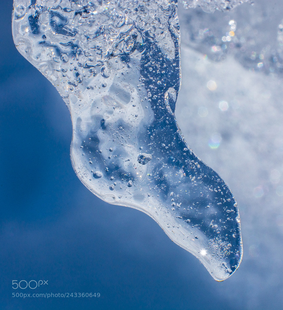 Nikon D7100 sample photo. An icicle photography