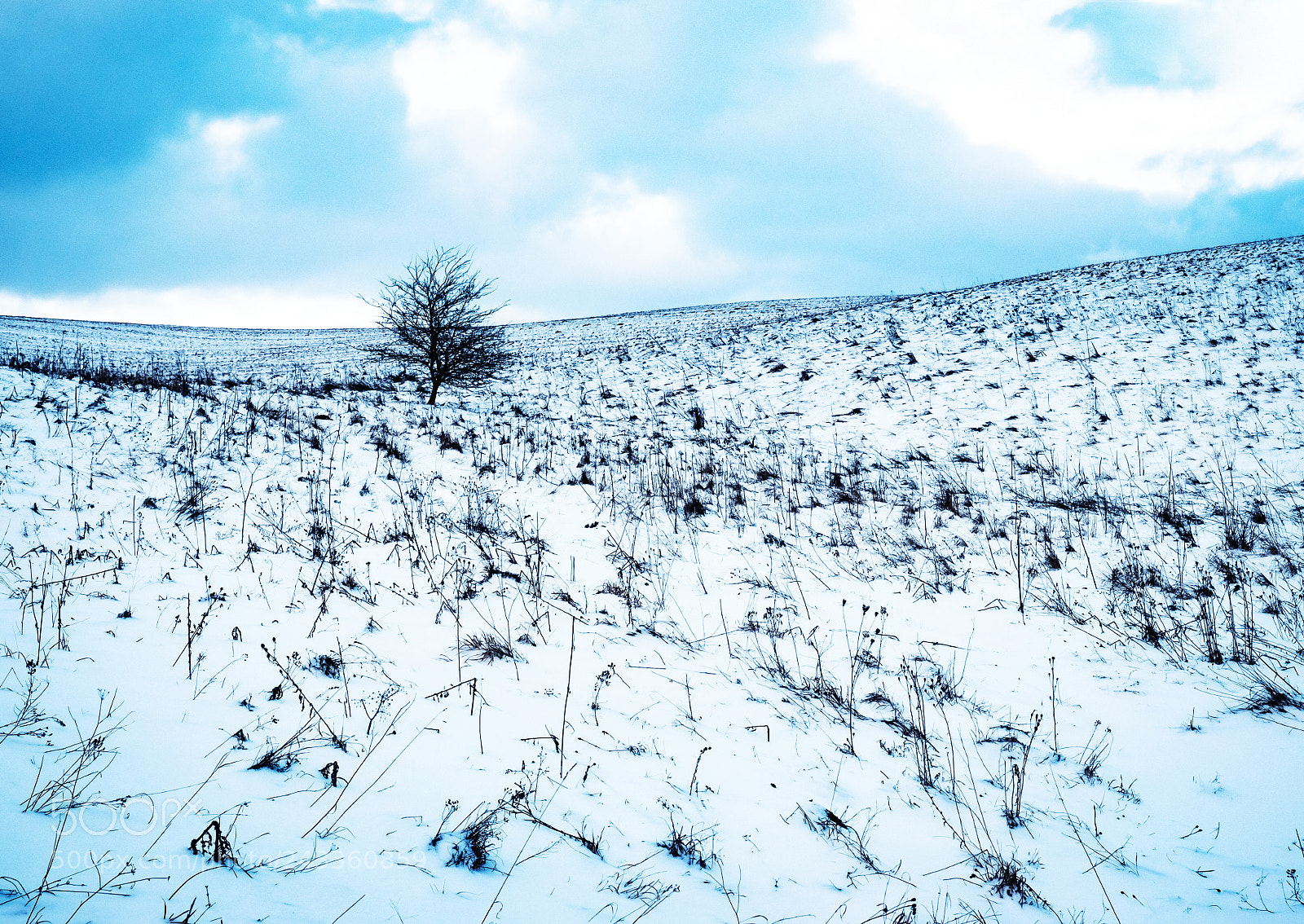 Nikon D5500 sample photo. Cold blue winter landscape photography